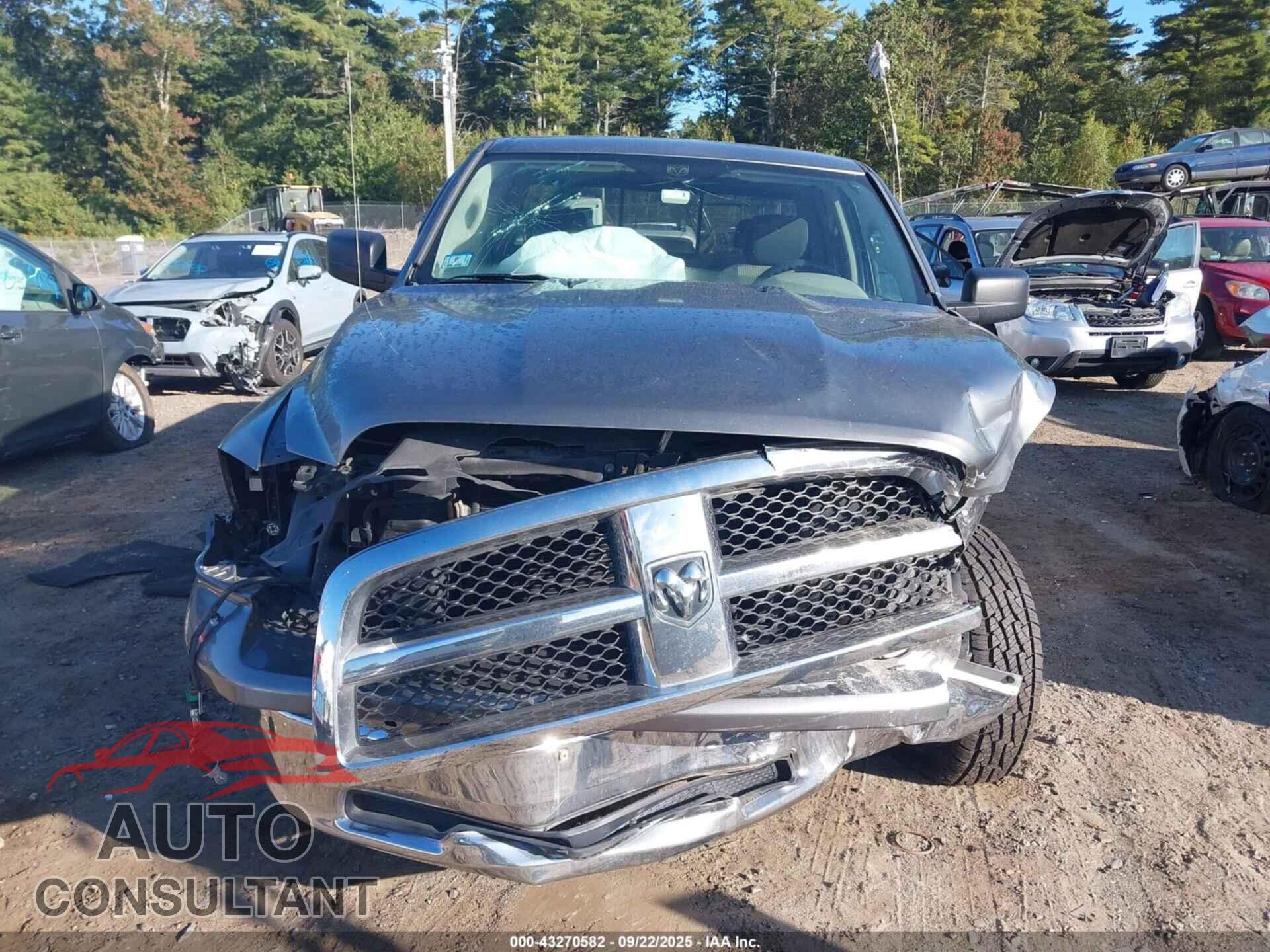 DODGE RAM 1500 2010 - 1D7RB1GP0AS119396