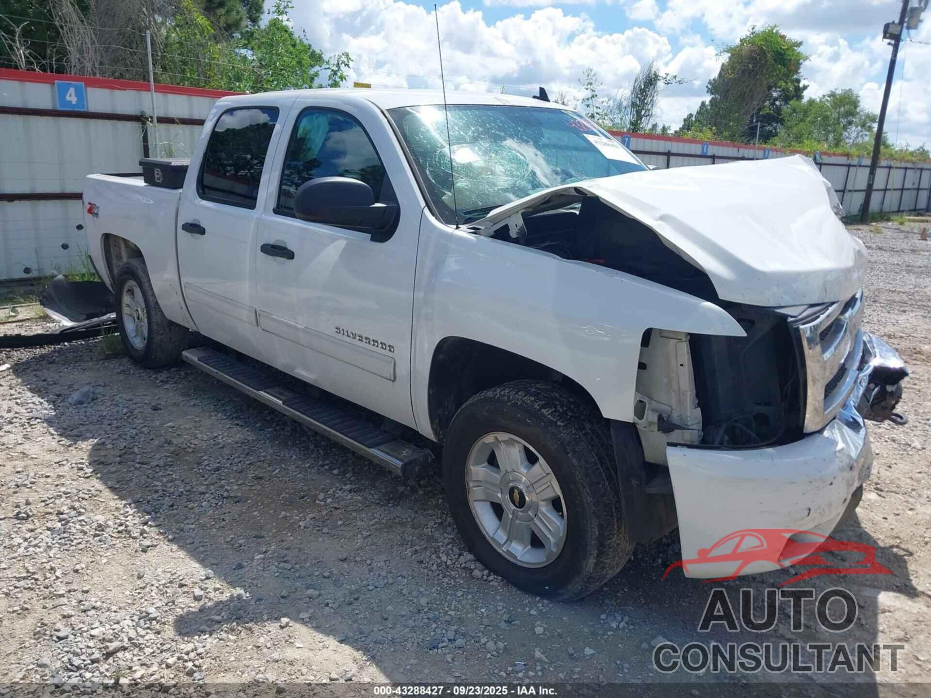 CHEVROLET SILVERADO 1500 2010 - 3GCRKSE38AG290839