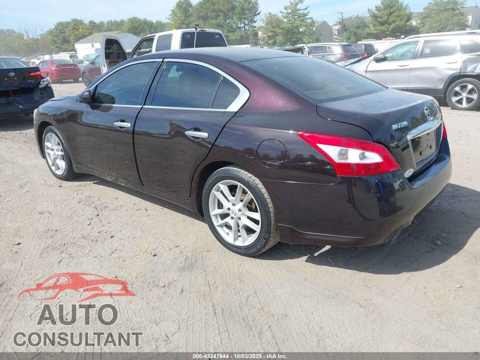 NISSAN MAXIMA 2011 - 1N4AA5AP6BC813151