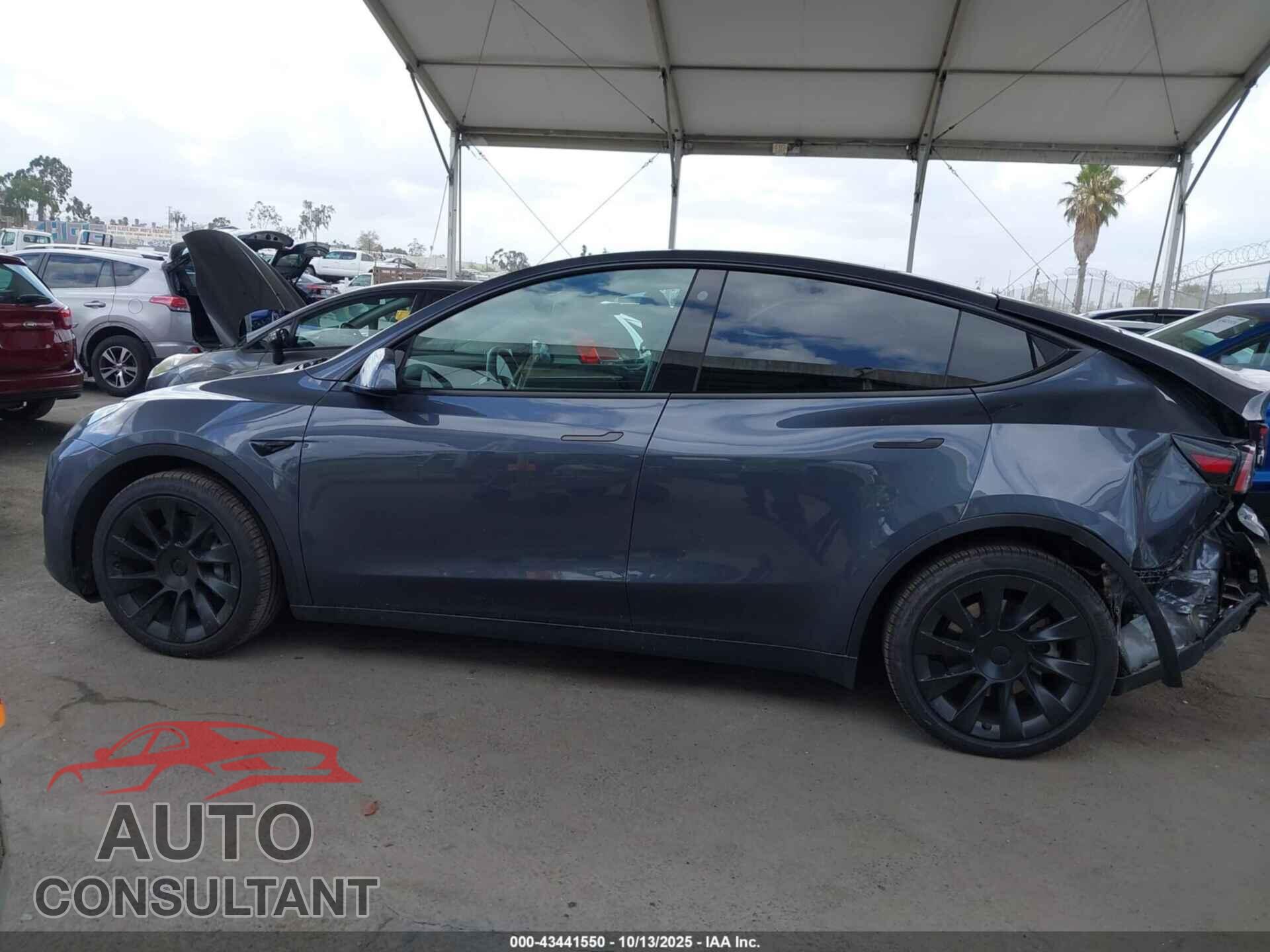 TESLA MODEL Y 2023 - 7SAYGAEE4PF608188