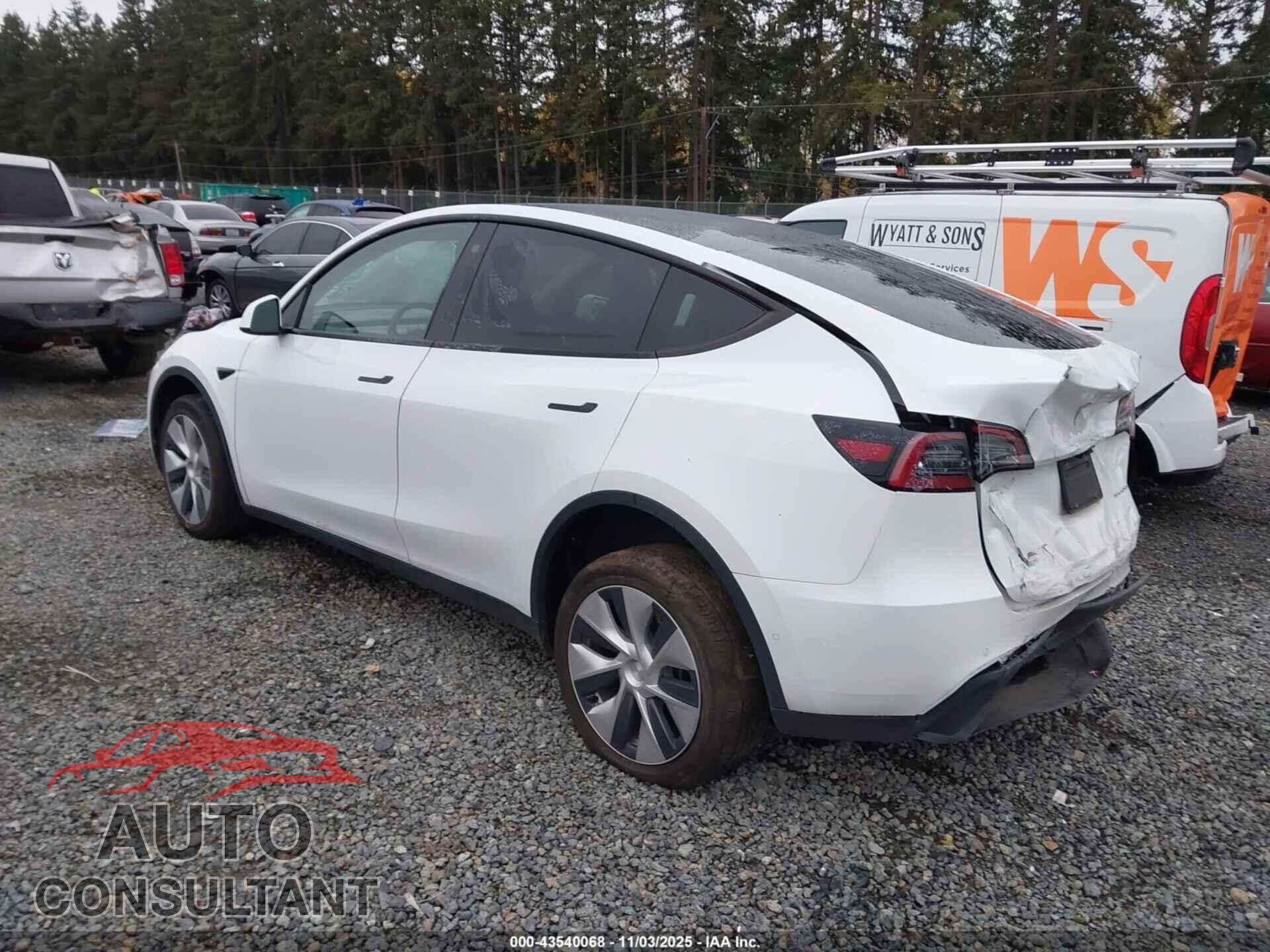TESLA MODEL Y 2021 - 5YJYGDEE1MF160180