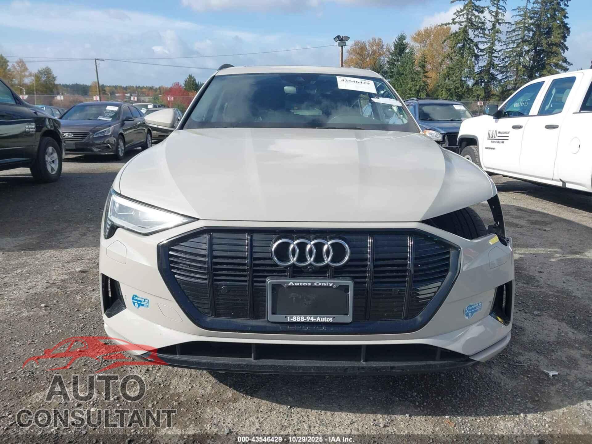 AUDI E-TRON 2021 - WA1LABGE8MB019763
