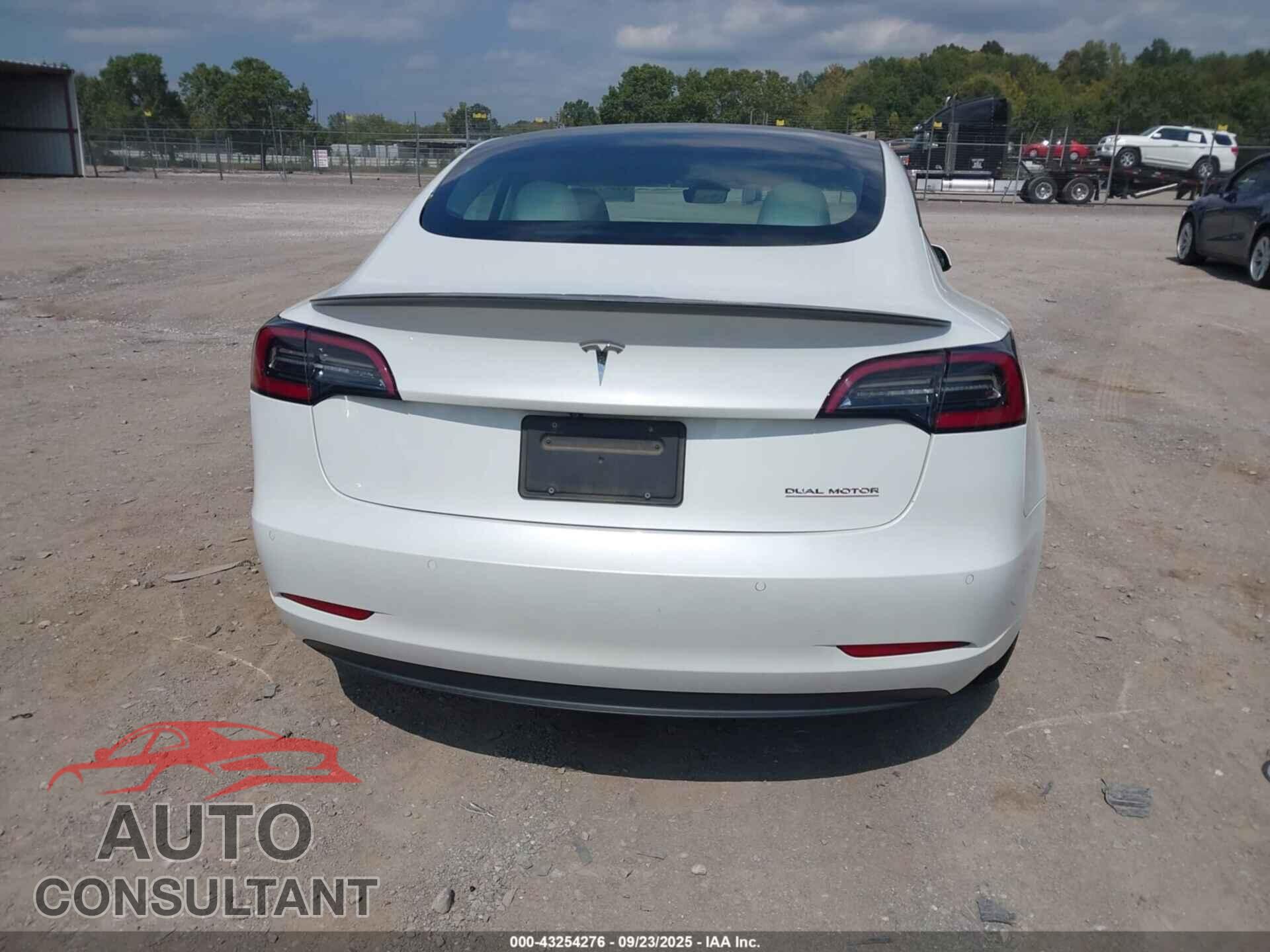 TESLA MODEL 3 2021 - 5YJ3E1EC3MF036263
