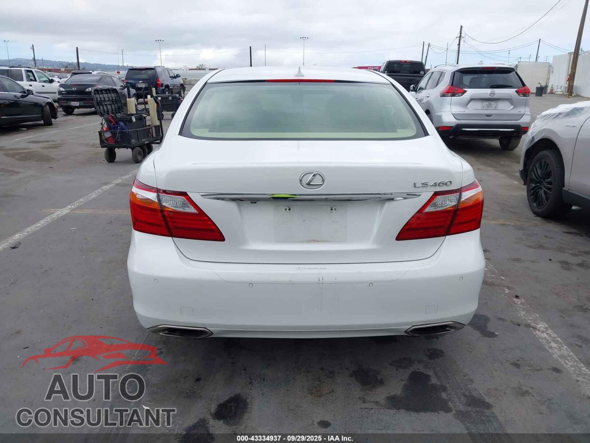 LEXUS LS 460 2012 - JTHBL5EF7C5113699
