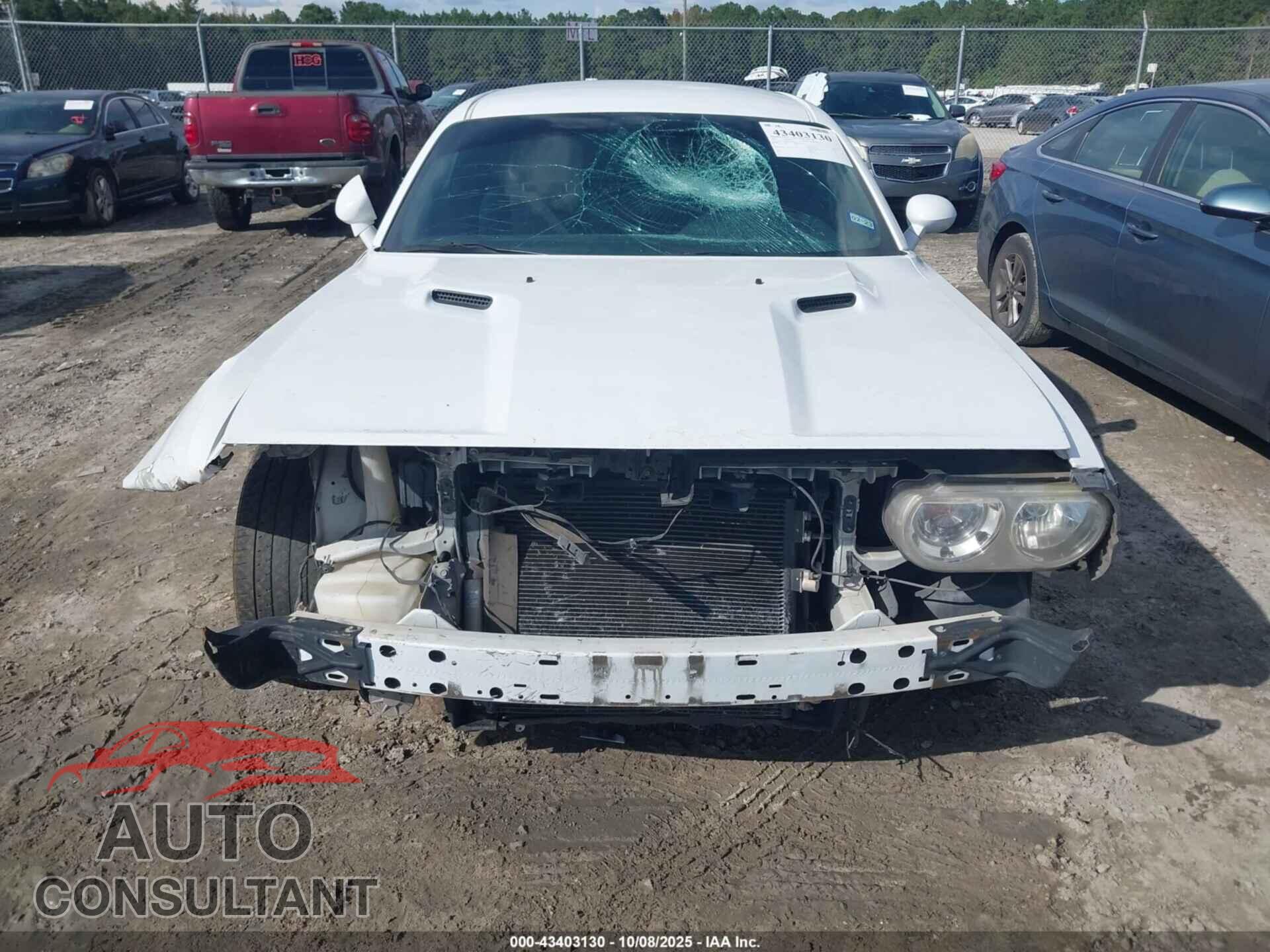 DODGE CHALLENGER 2014 - 2C3CDYAG0EH251037