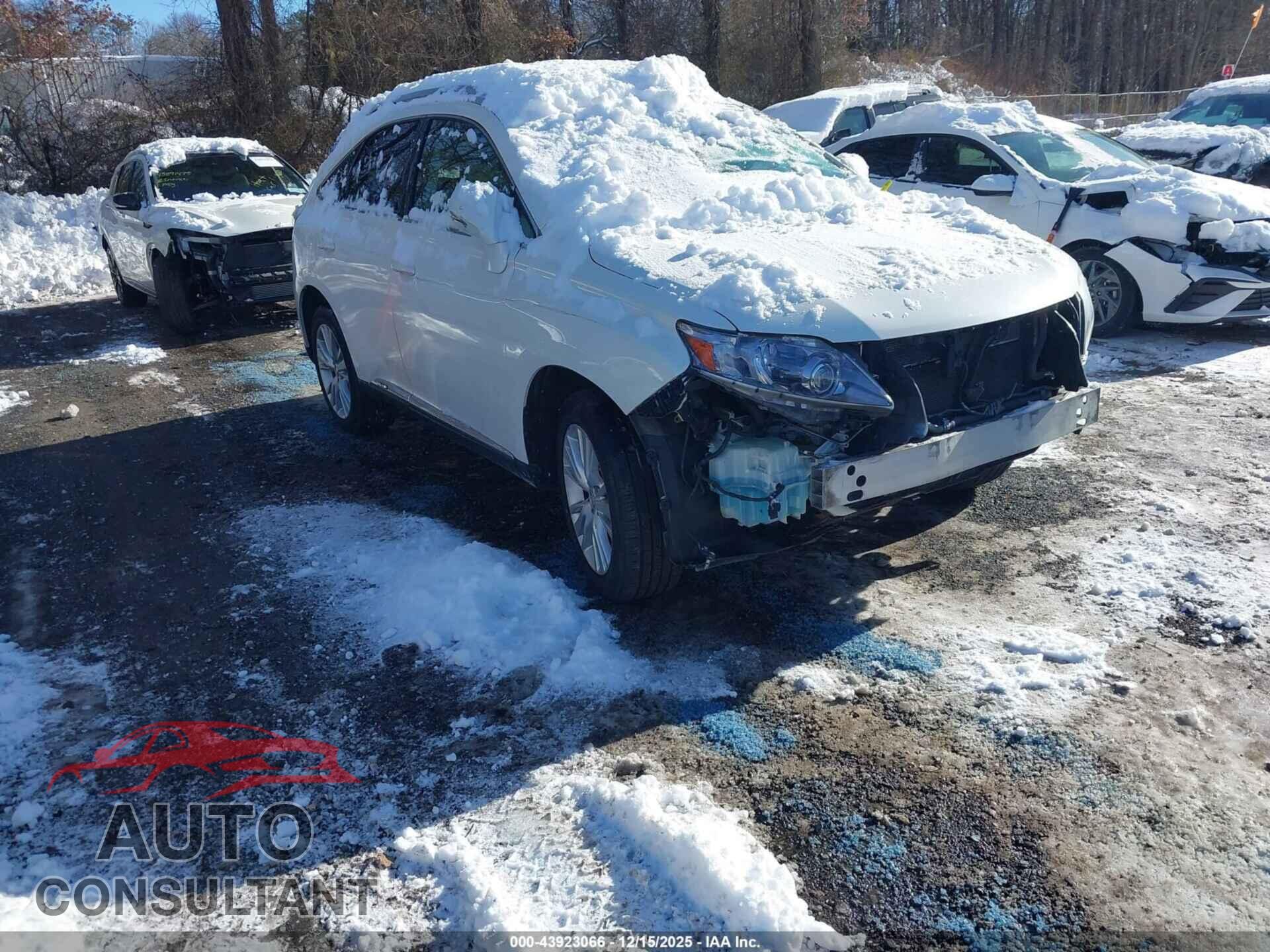 LEXUS RX 450H 2010 - JTJBC1BA8A2006031