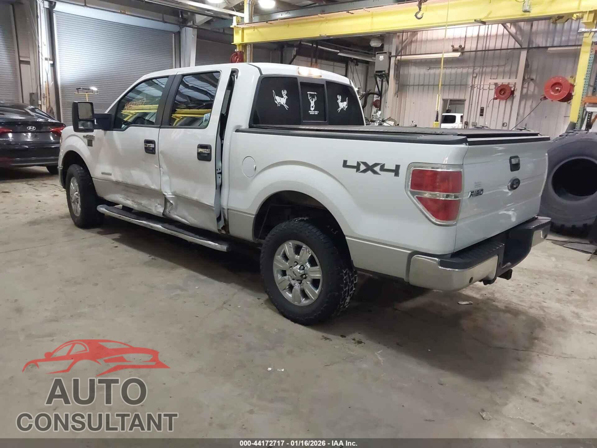 FORD F-150 2012 - 1FTFW1ET3CFC54546