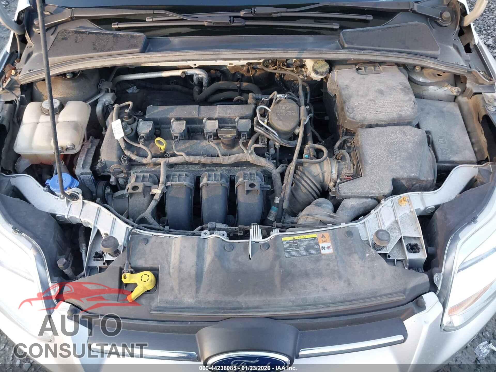 FORD FOCUS 2012 - 1FAHP3F2XCL420902