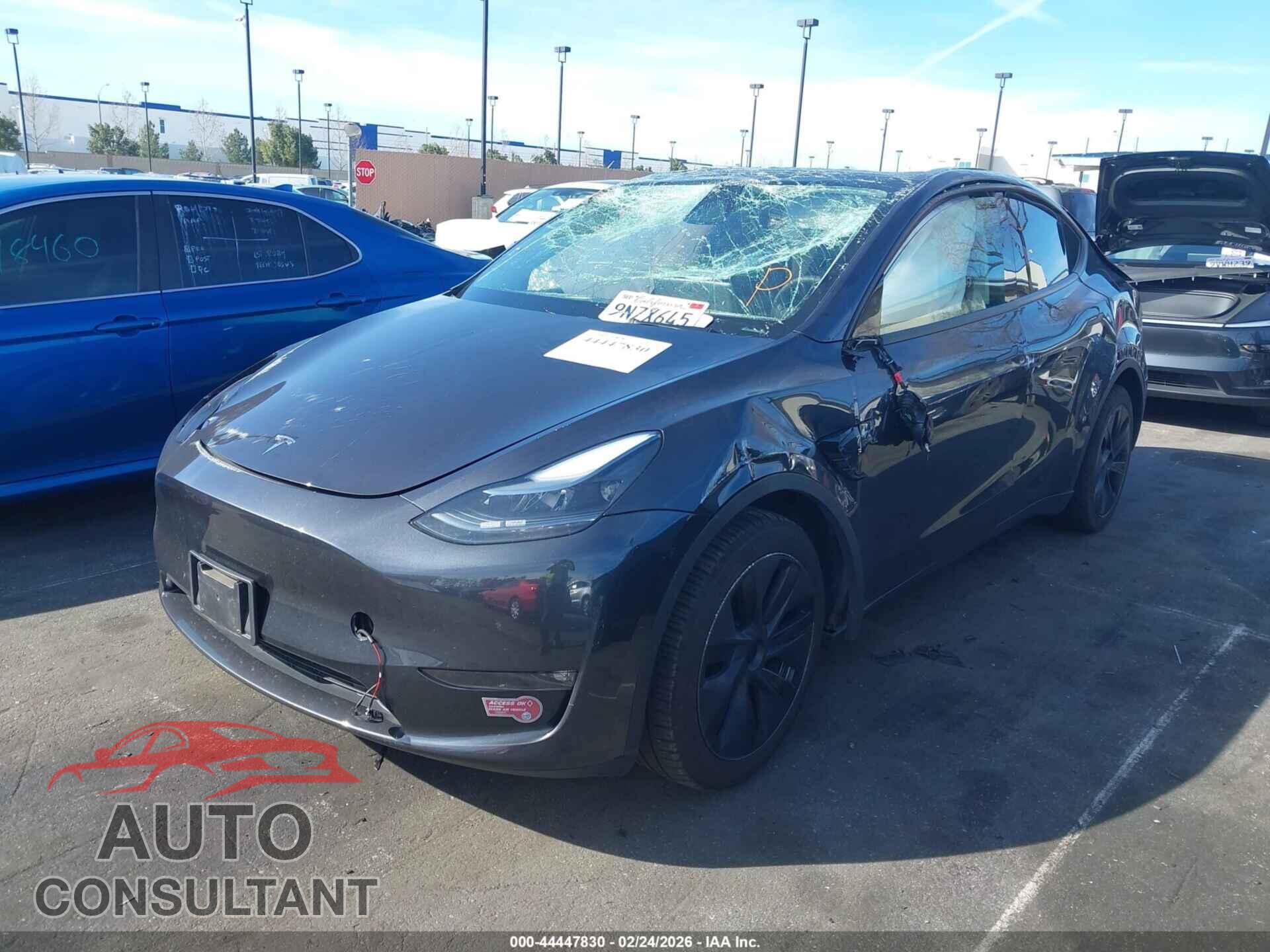 TESLA MODEL Y 2024 - 7SAYGDEE9RF195916
