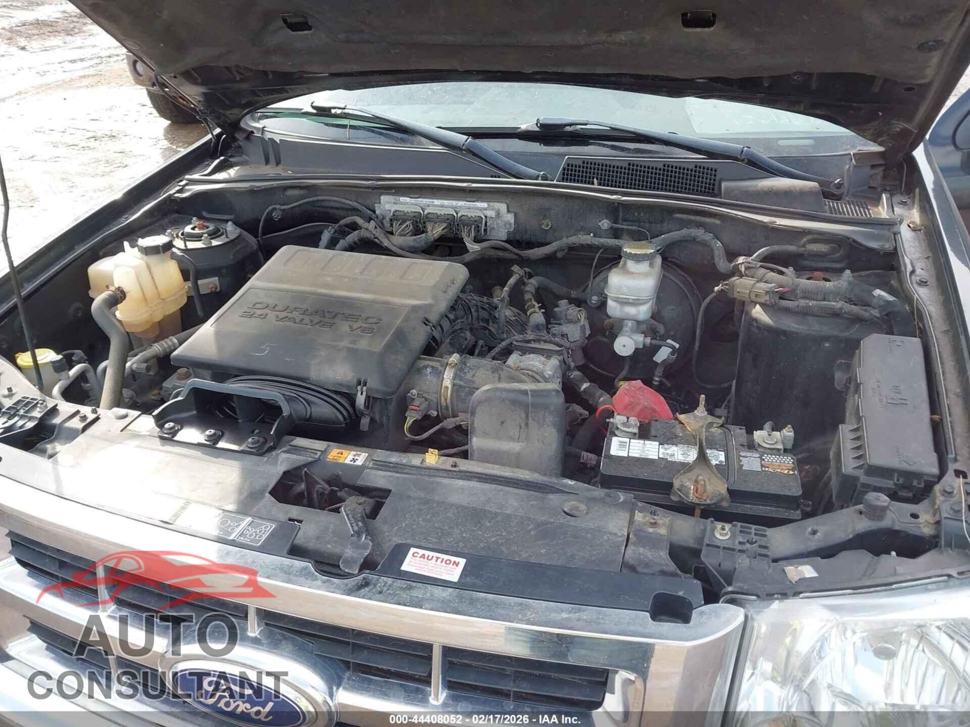 FORD ESCAPE 2011 - 1FMCU9EG2BKC50497