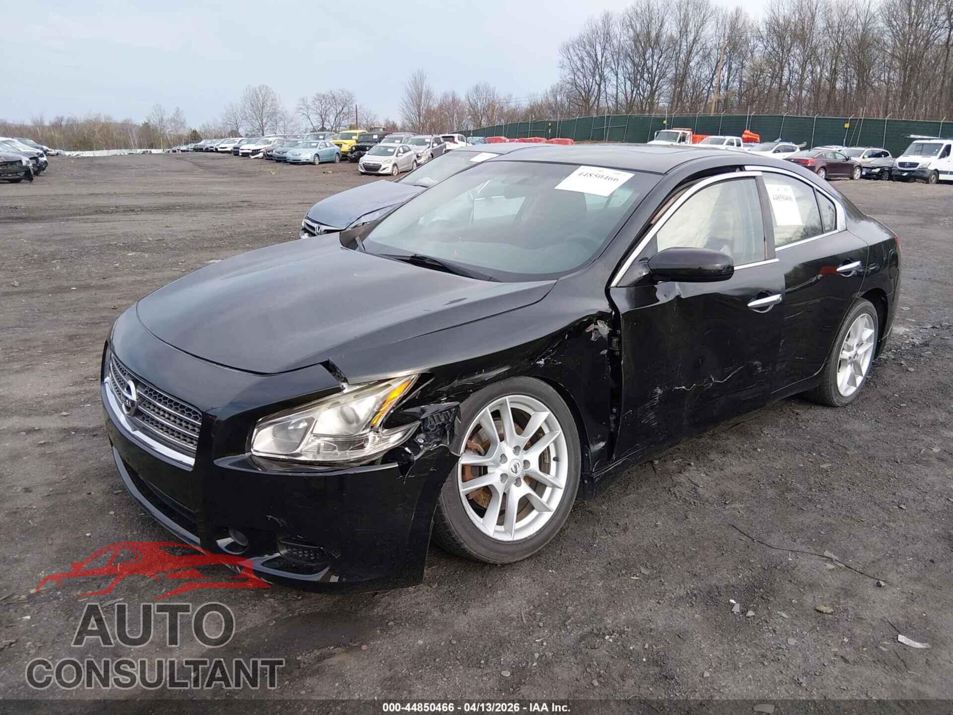 NISSAN MAXIMA 2011 - 1N4AA5AP8BC828072