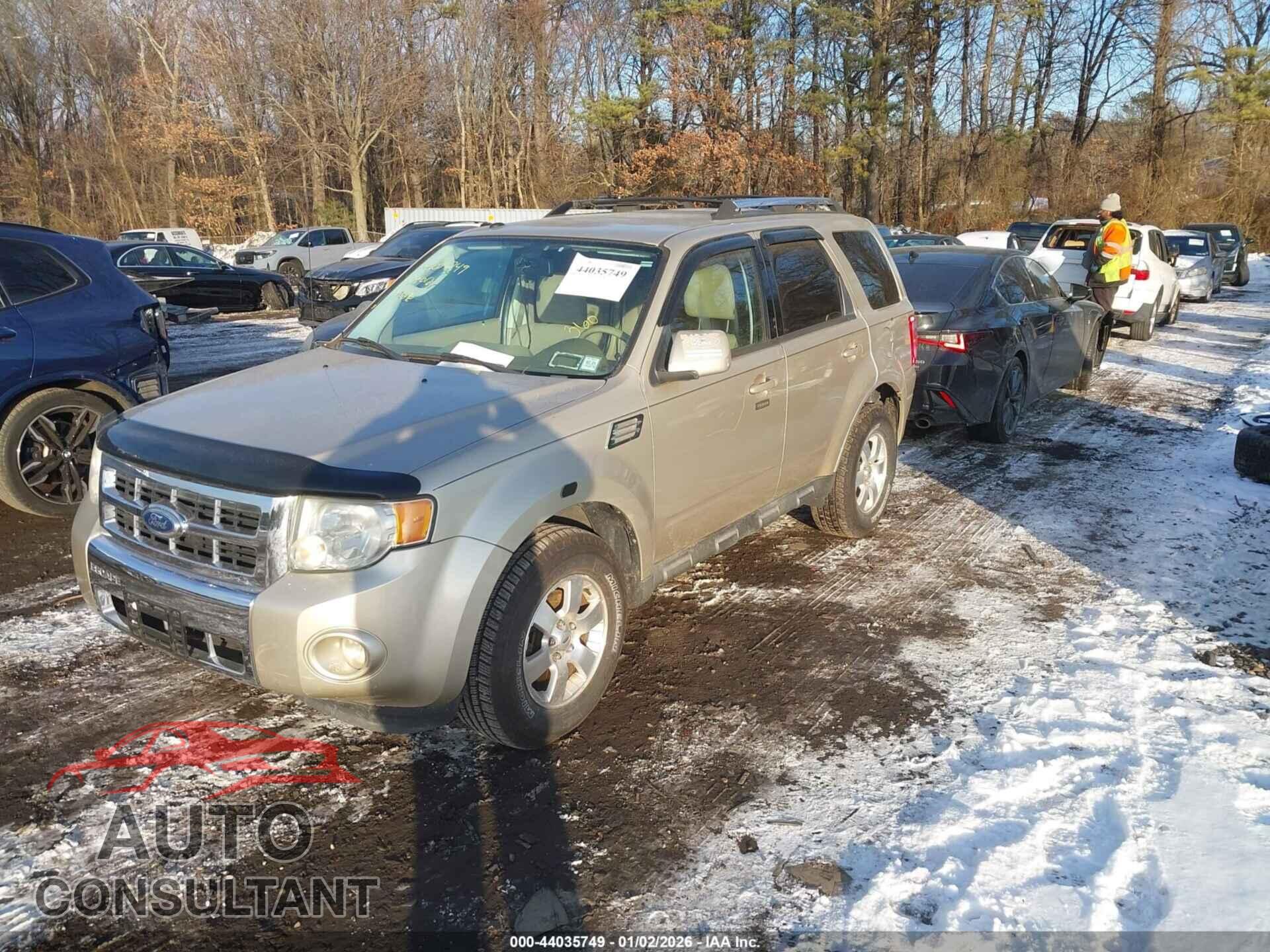 FORD ESCAPE 2010 - 1FMCU9EG1AKC03797