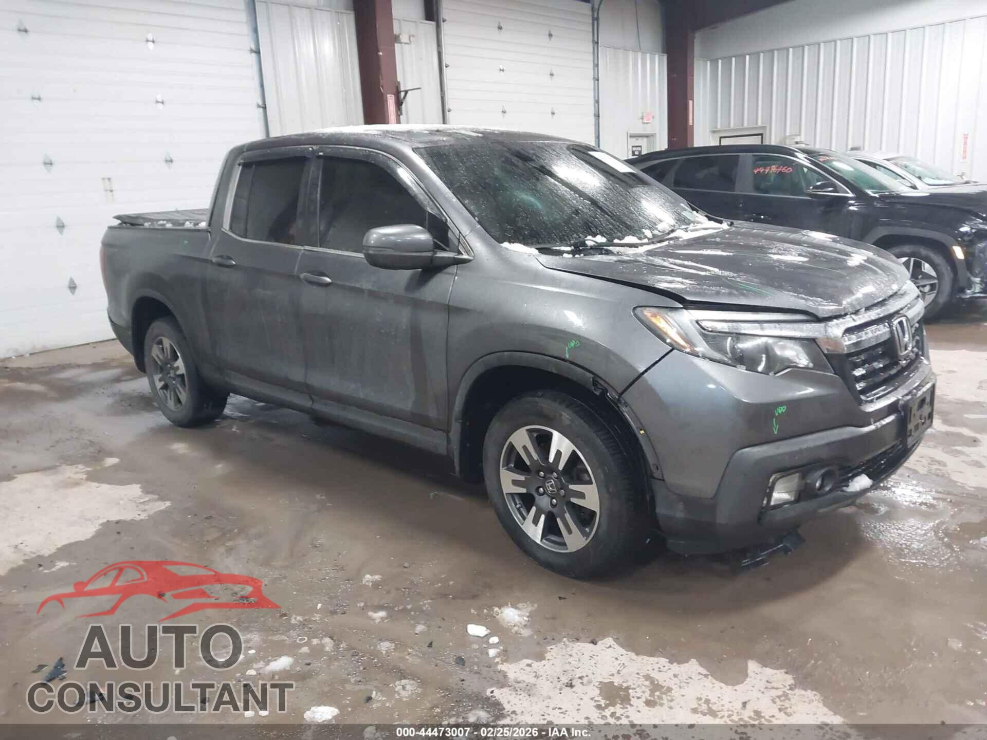 HONDA RIDGELINE 2019 - 5FPYK3F5XKB010659
