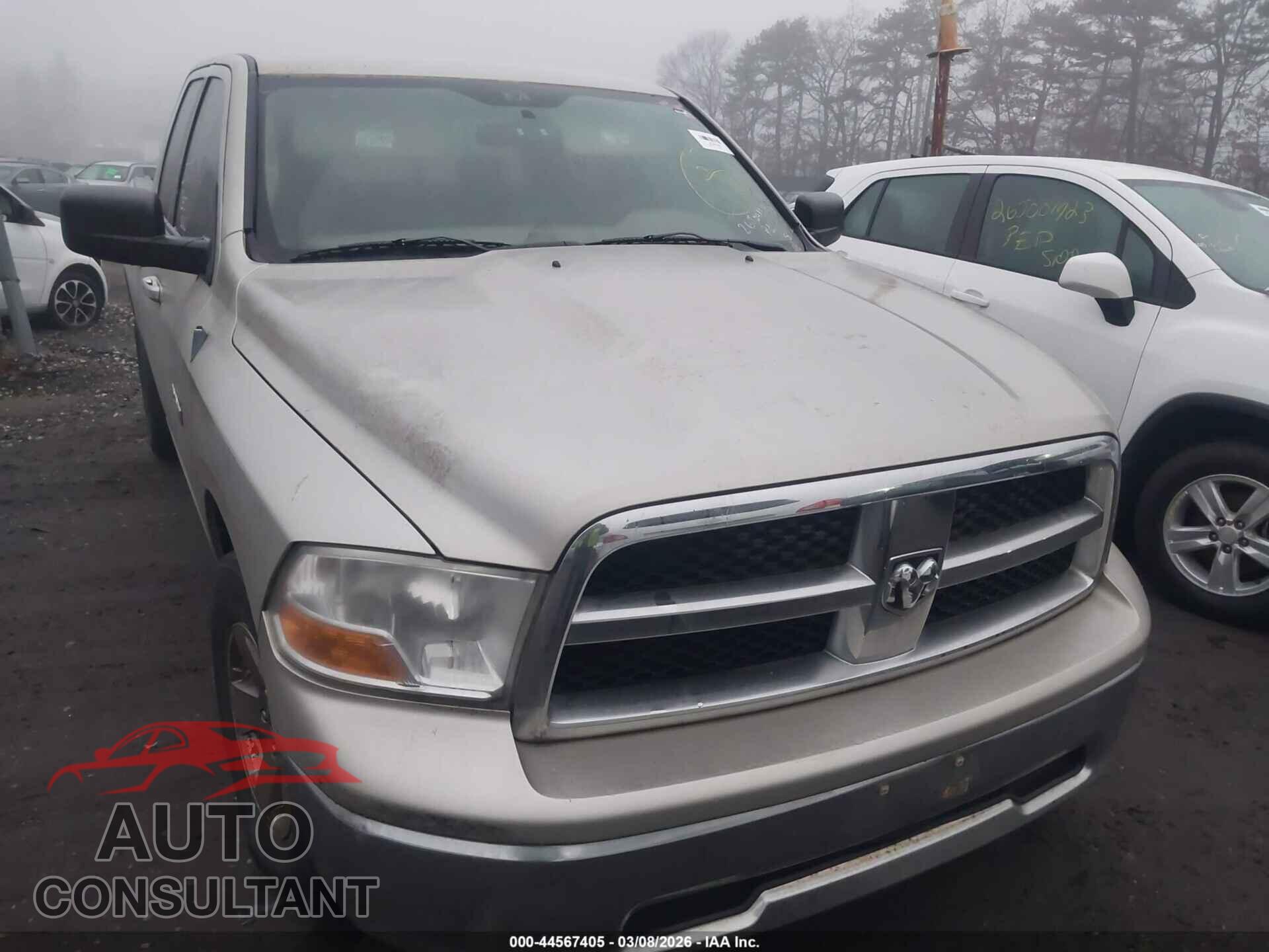 DODGE RAM 1500 2010 - 1D7RB1GP5AS196684