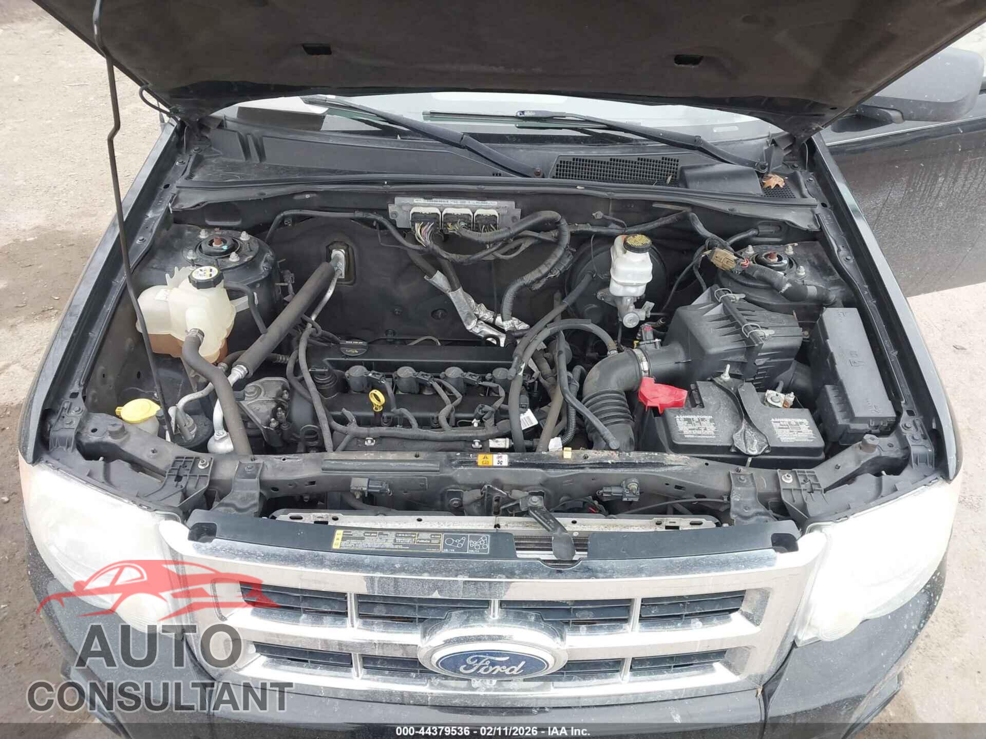 FORD ESCAPE 2010 - 1FMCU9D78AKC07248