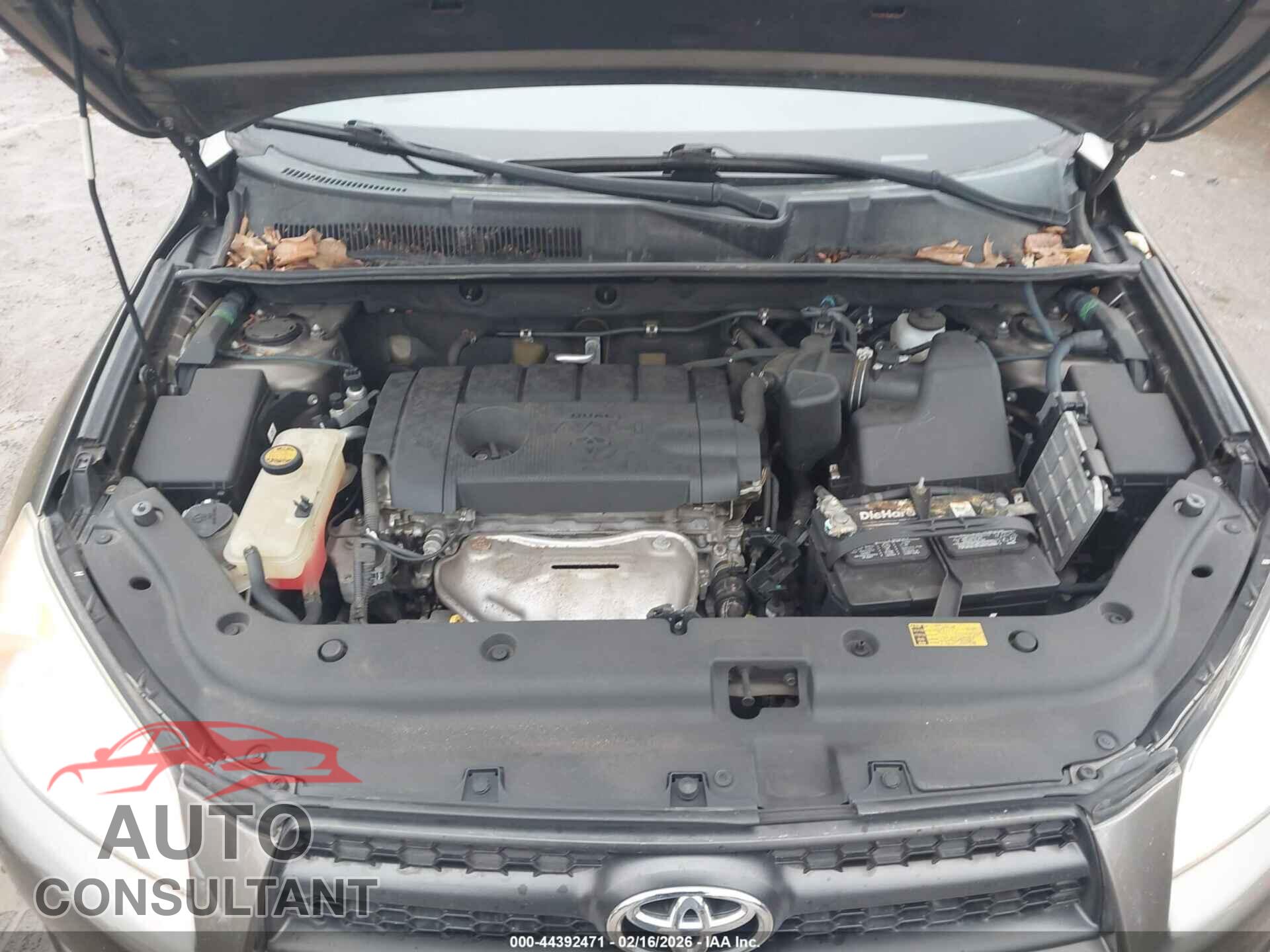 TOYOTA RAV4 2011 - 2T3BF4DV2BW153627