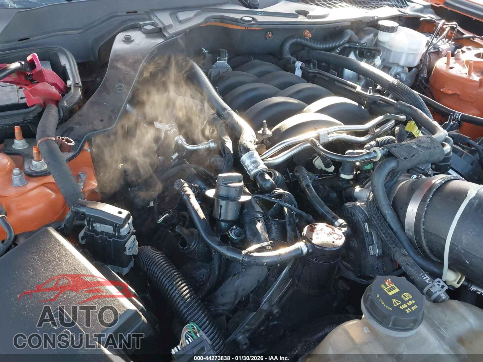 FORD MUSTANG 2021 - 1FA6P8CF4M5121231