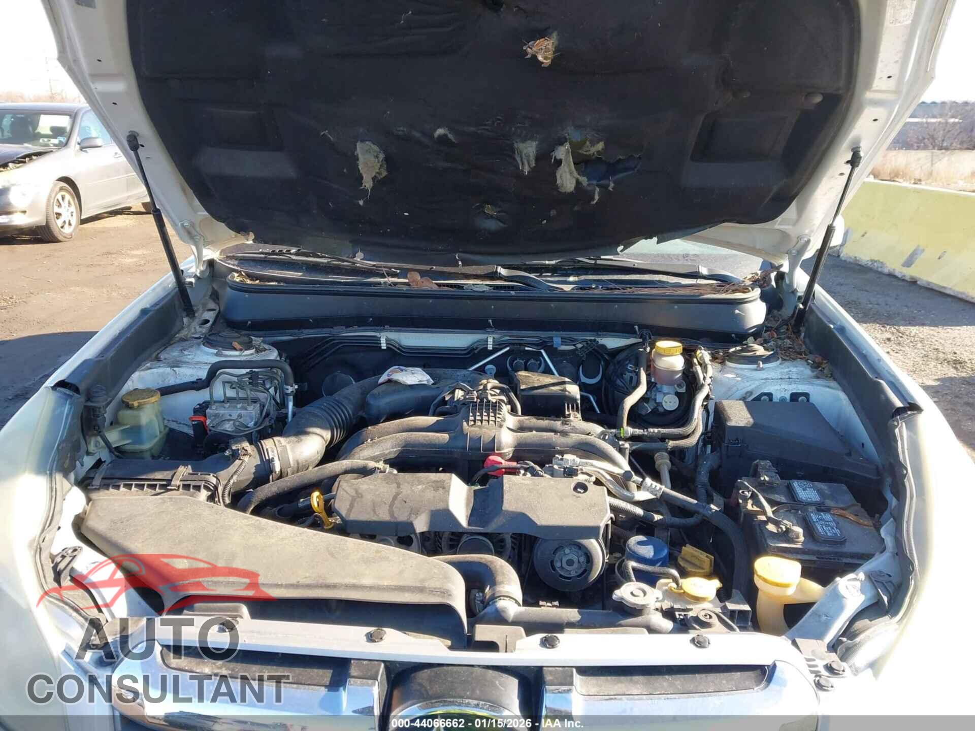 SUBARU OUTBACK 2014 - 4S4BRCLC3E3274462