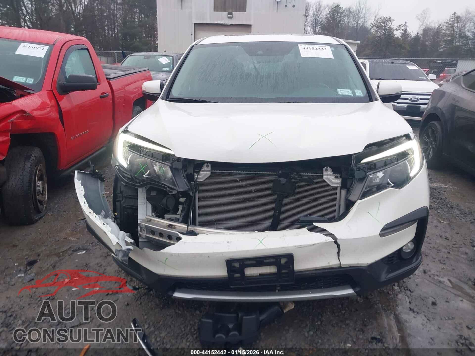 HONDA PILOT 2019 - 5FNYF6H48KB042299