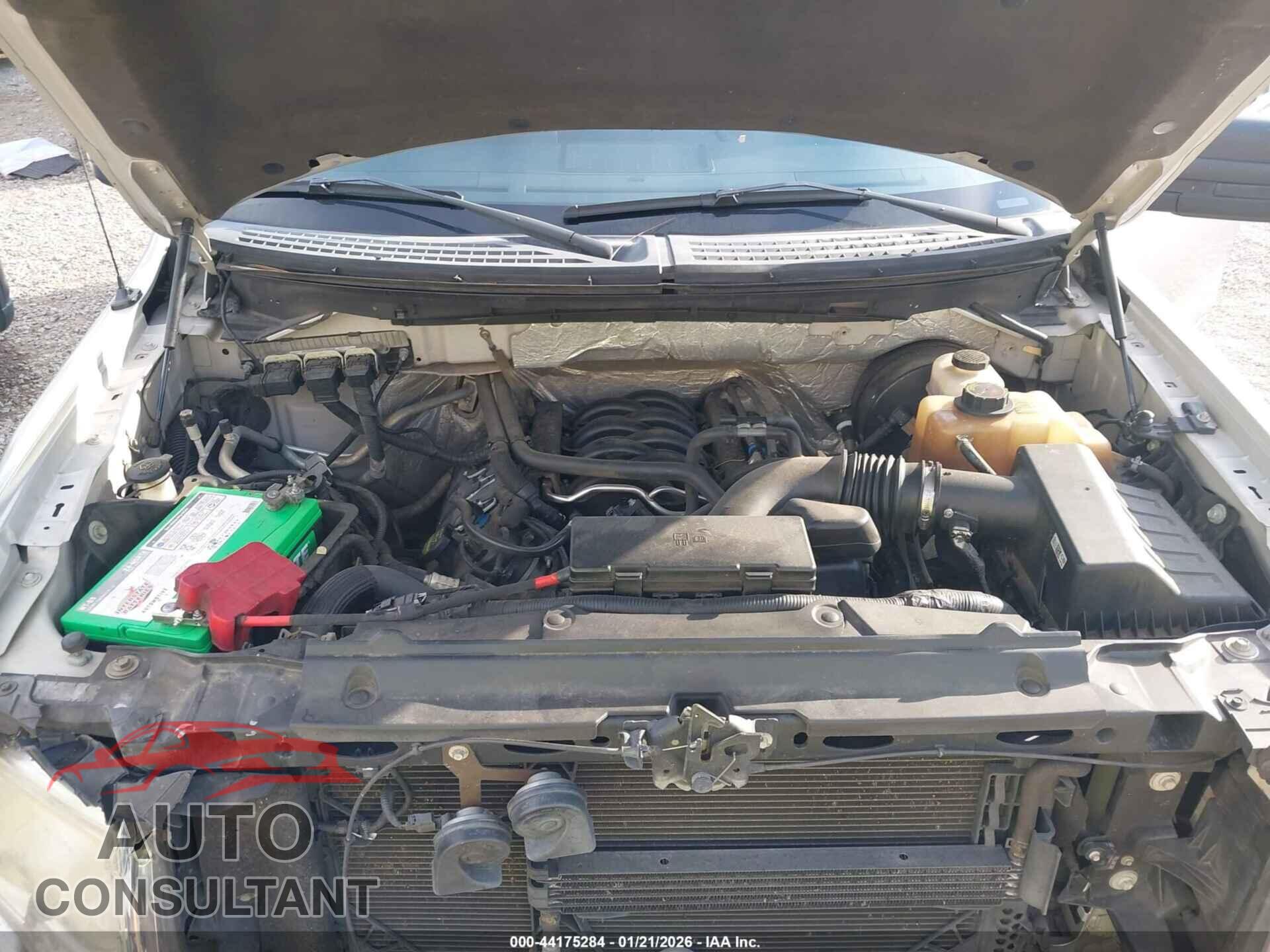FORD F-150 2013 - 1FTFX1CF3DFB96062