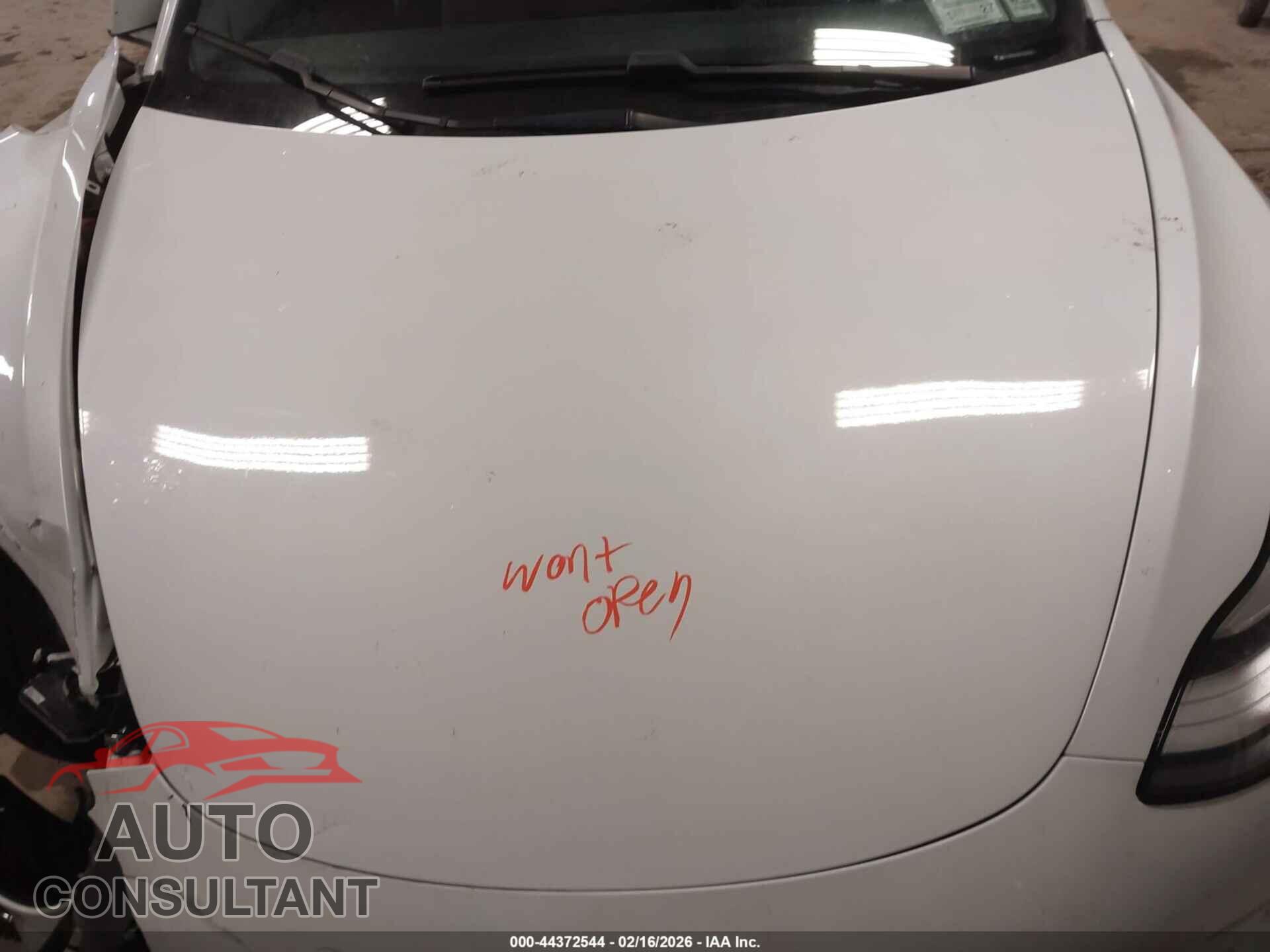 TESLA MODEL 3 2019 - 5YJ3E1EA2KF483002