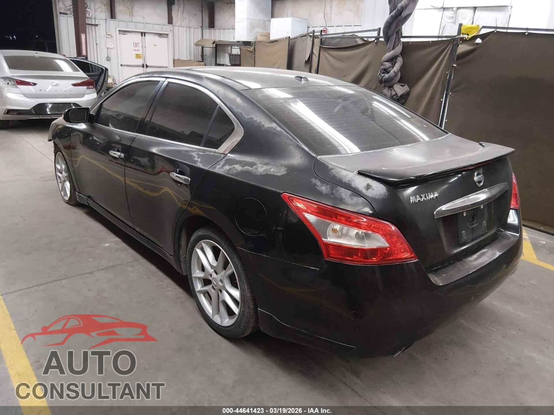 NISSAN MAXIMA 2011 - 1N4AA5AP9BC816738