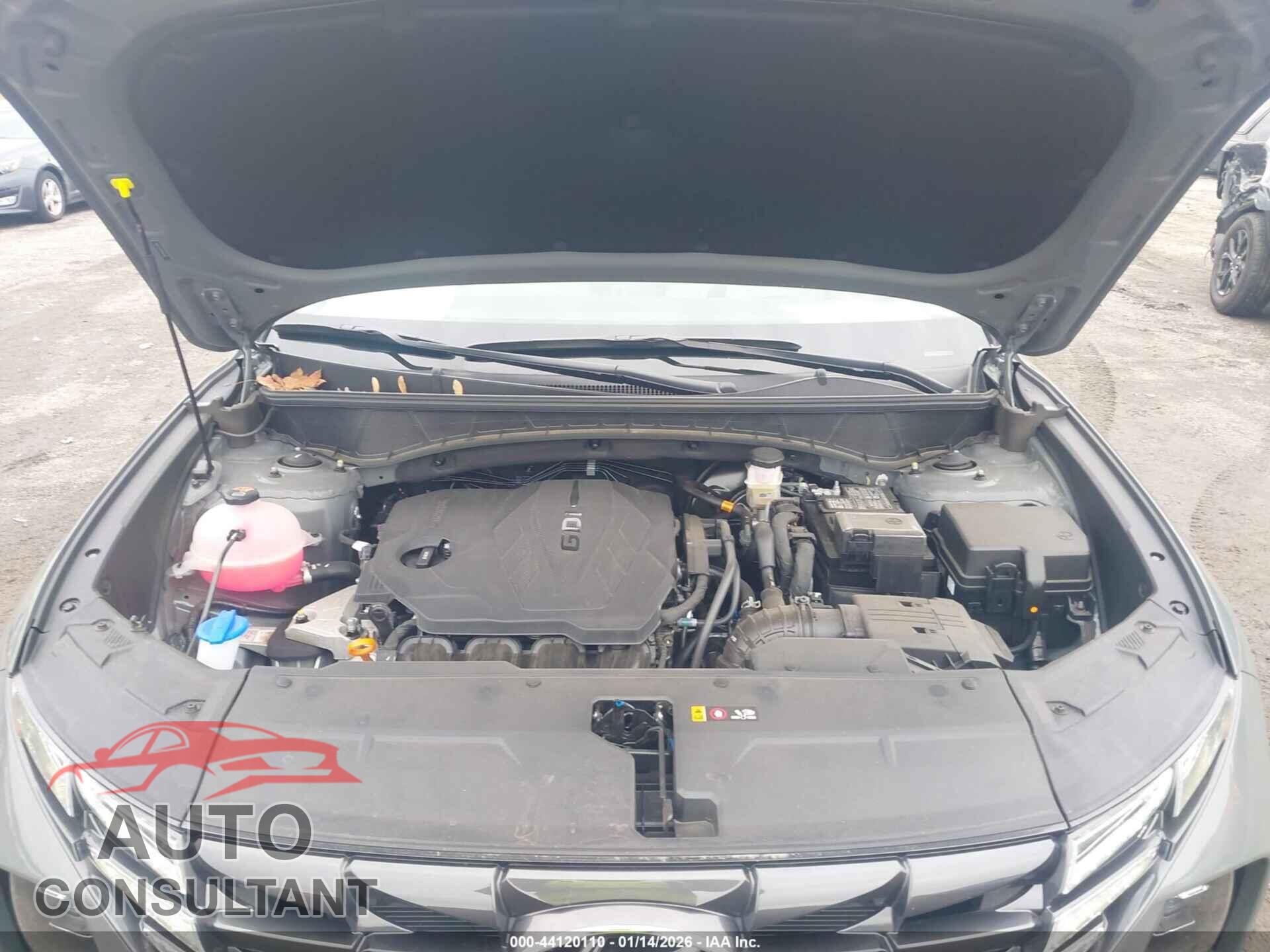 HYUNDAI TUCSON 2024 - 5NMJFCDE9RH395402