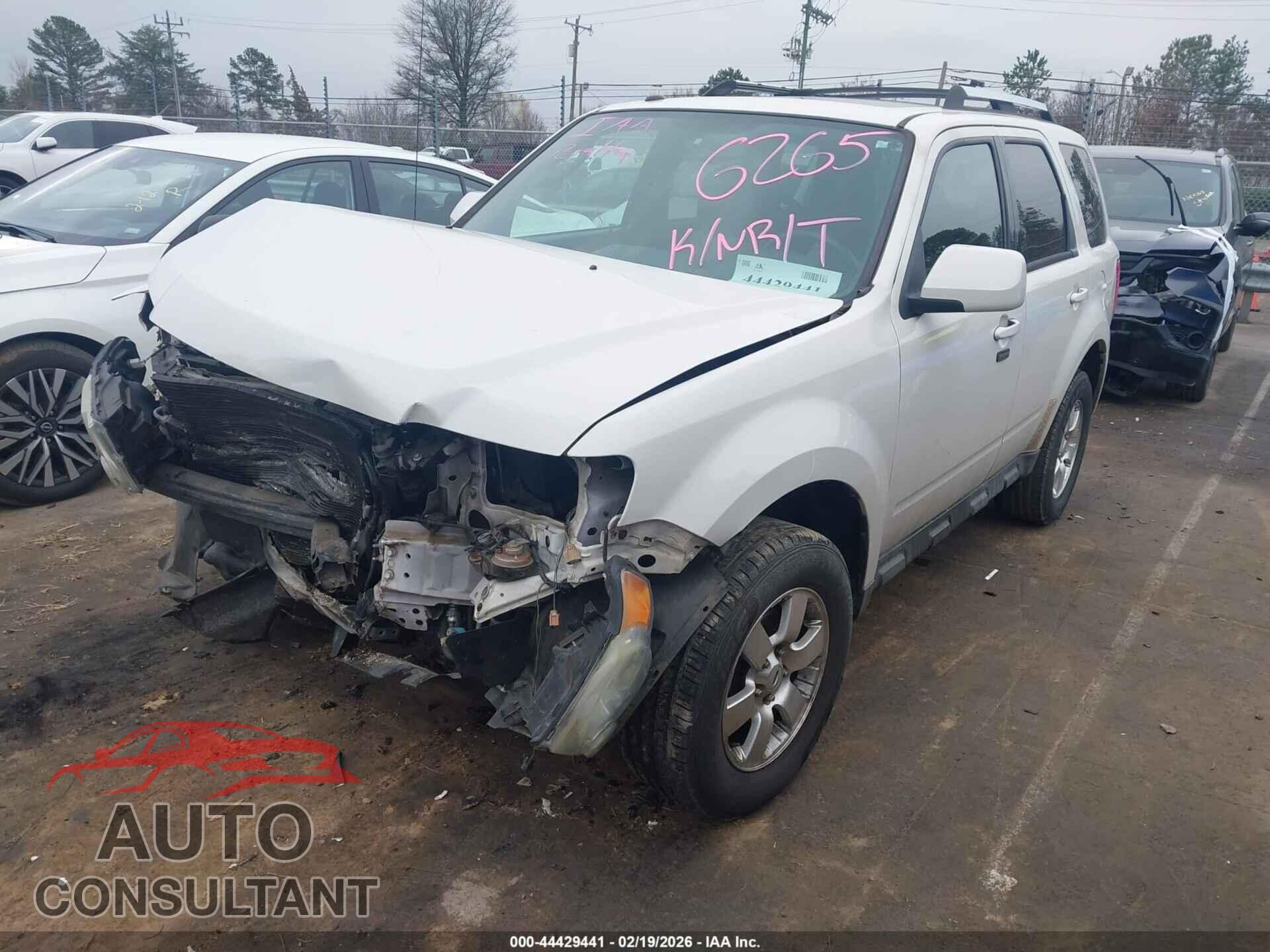 FORD ESCAPE 2011 - 1FMCU0E74BKA76265
