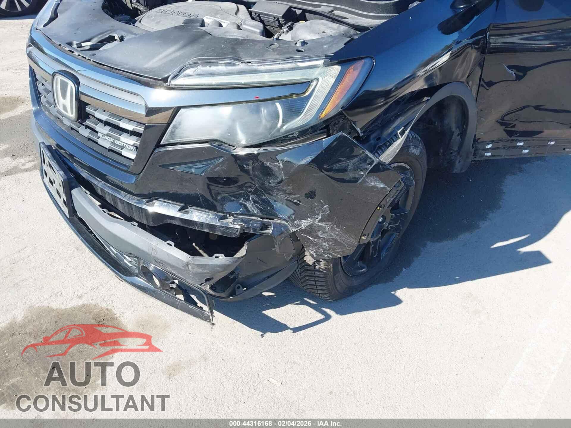 HONDA RIDGELINE 2019 - 5FPYK3F80KB019882