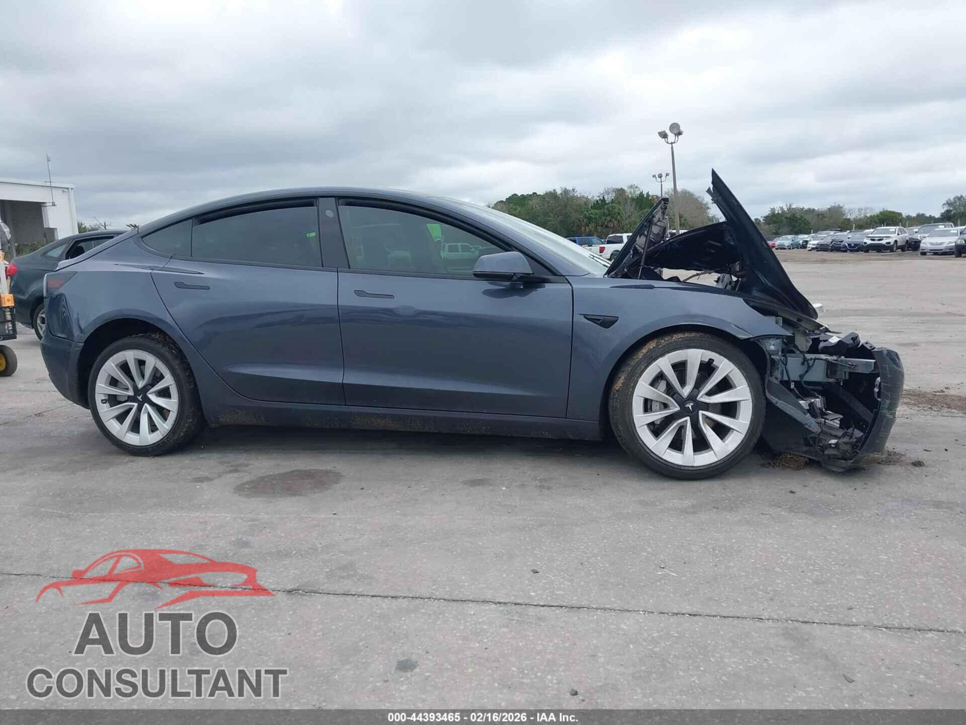 TESLA MODEL 3 2023 - 5YJ3E1EA6PF435882
