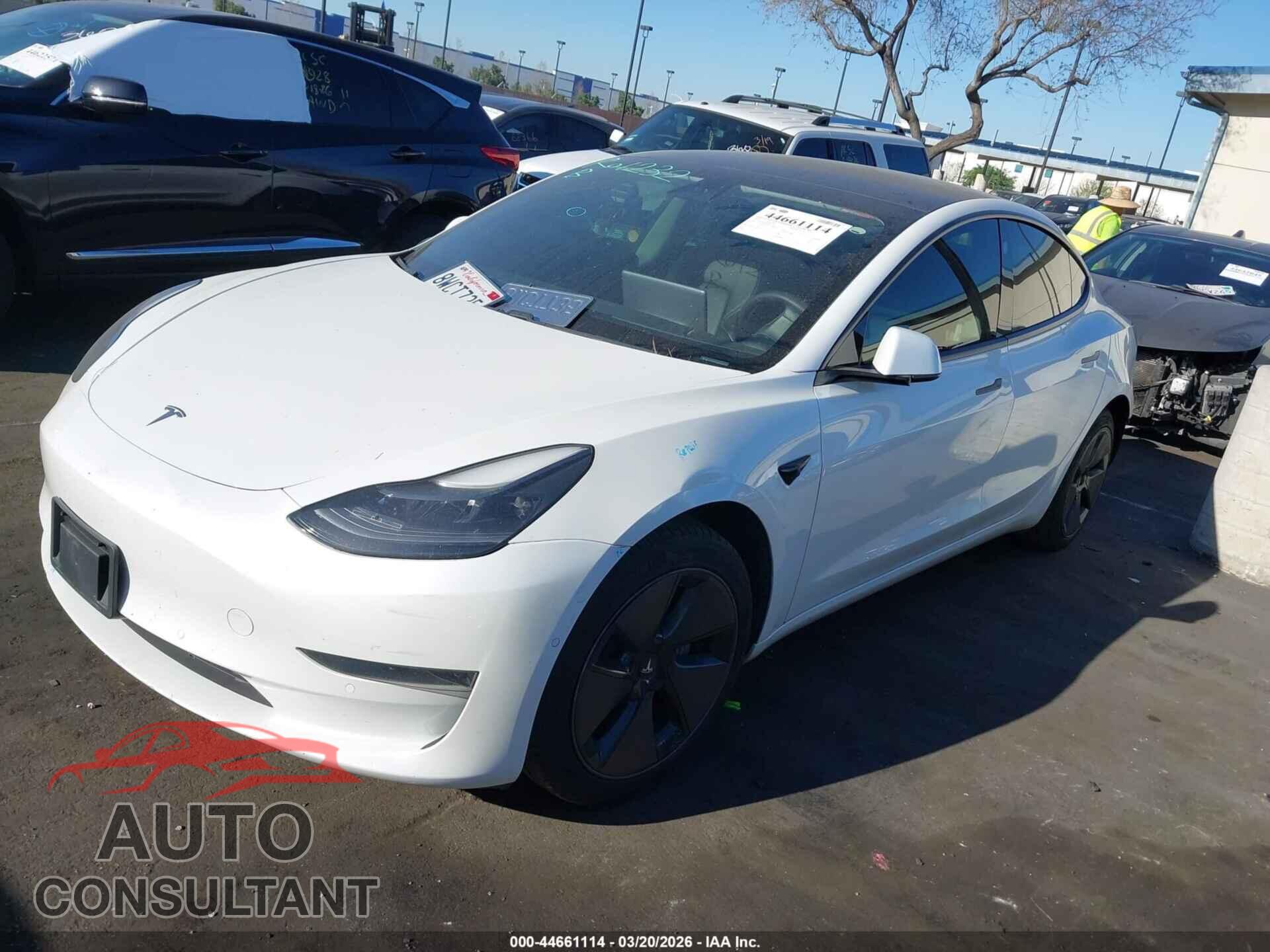 TESLA MODEL 3 2021 - 5YJ3E1EAXMF941372