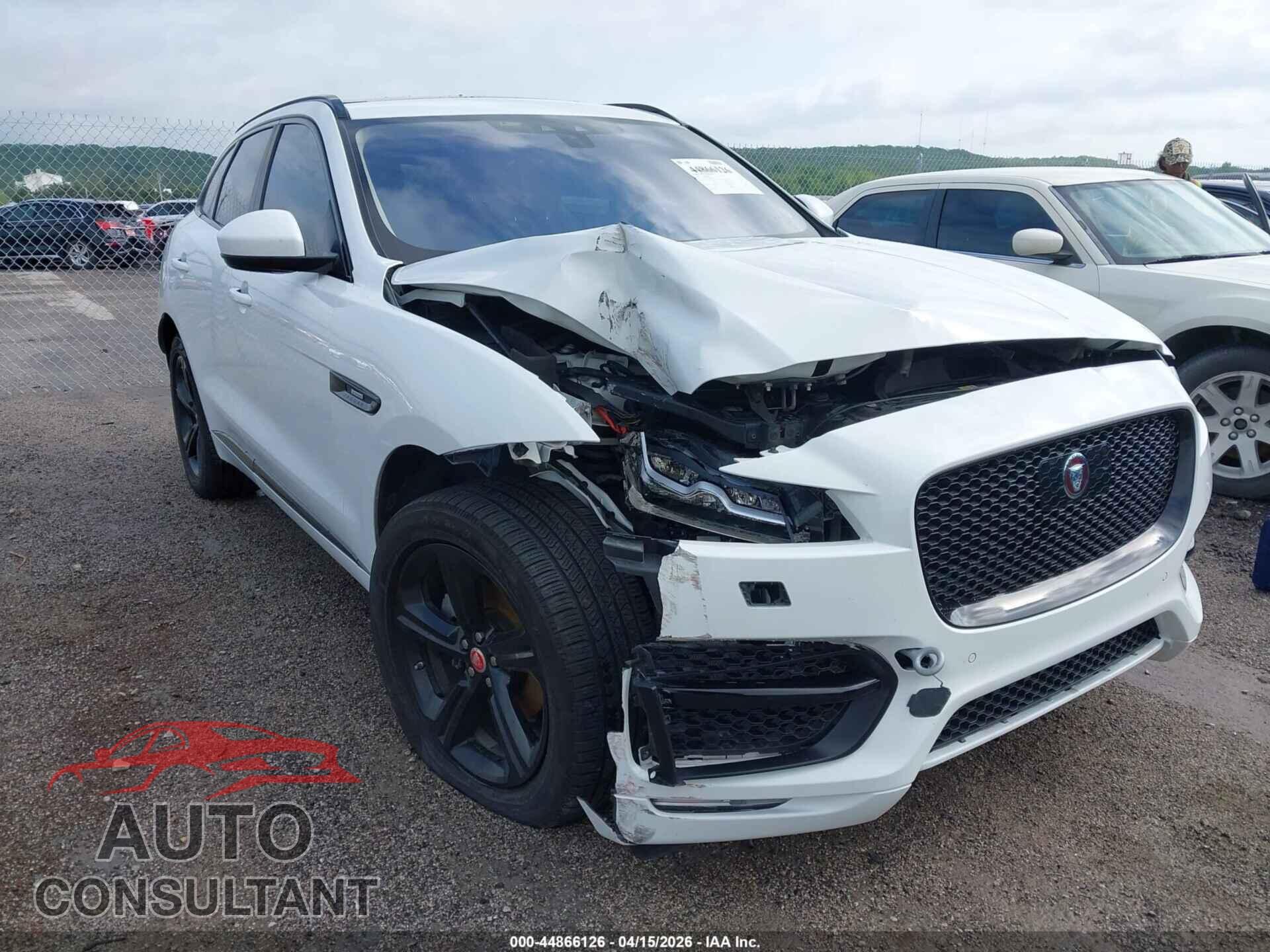 JAGUAR F-PACE 2019 - SADCL2FX0KA392306