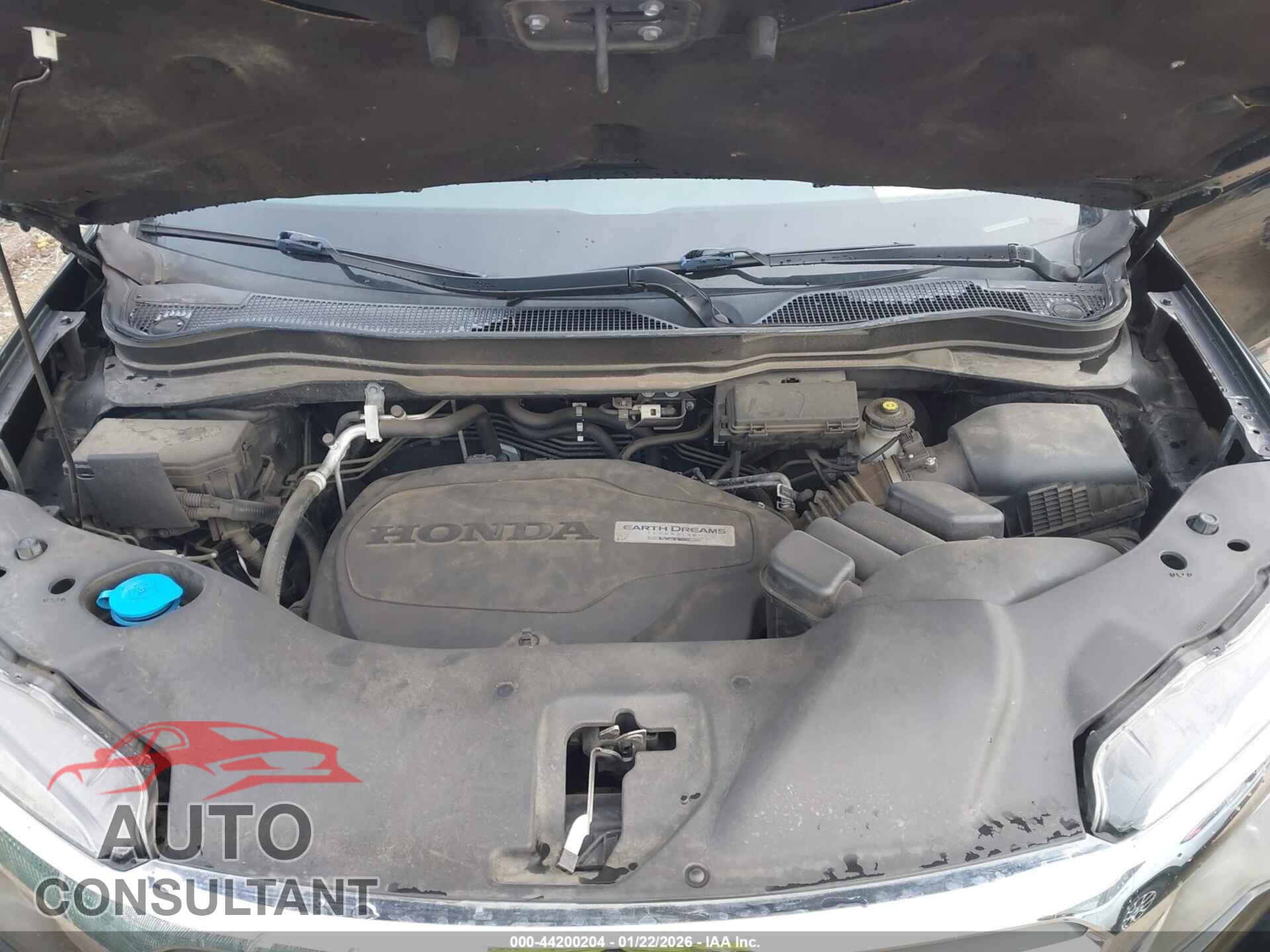 HONDA RIDGELINE 2019 - 5FPYK3F10KB018993