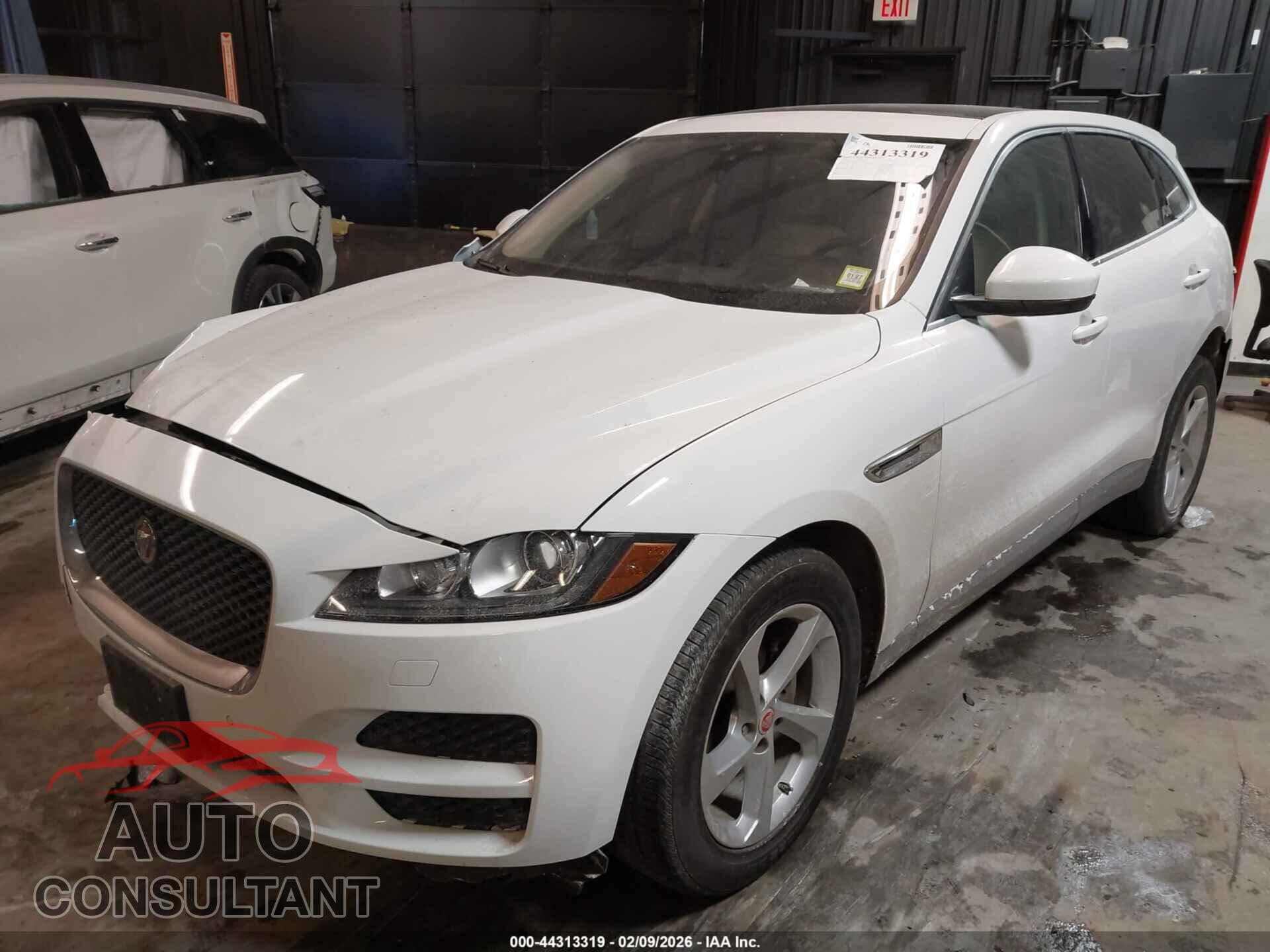 JAGUAR F-PACE 2020 - SADCJ2FX9LA643573