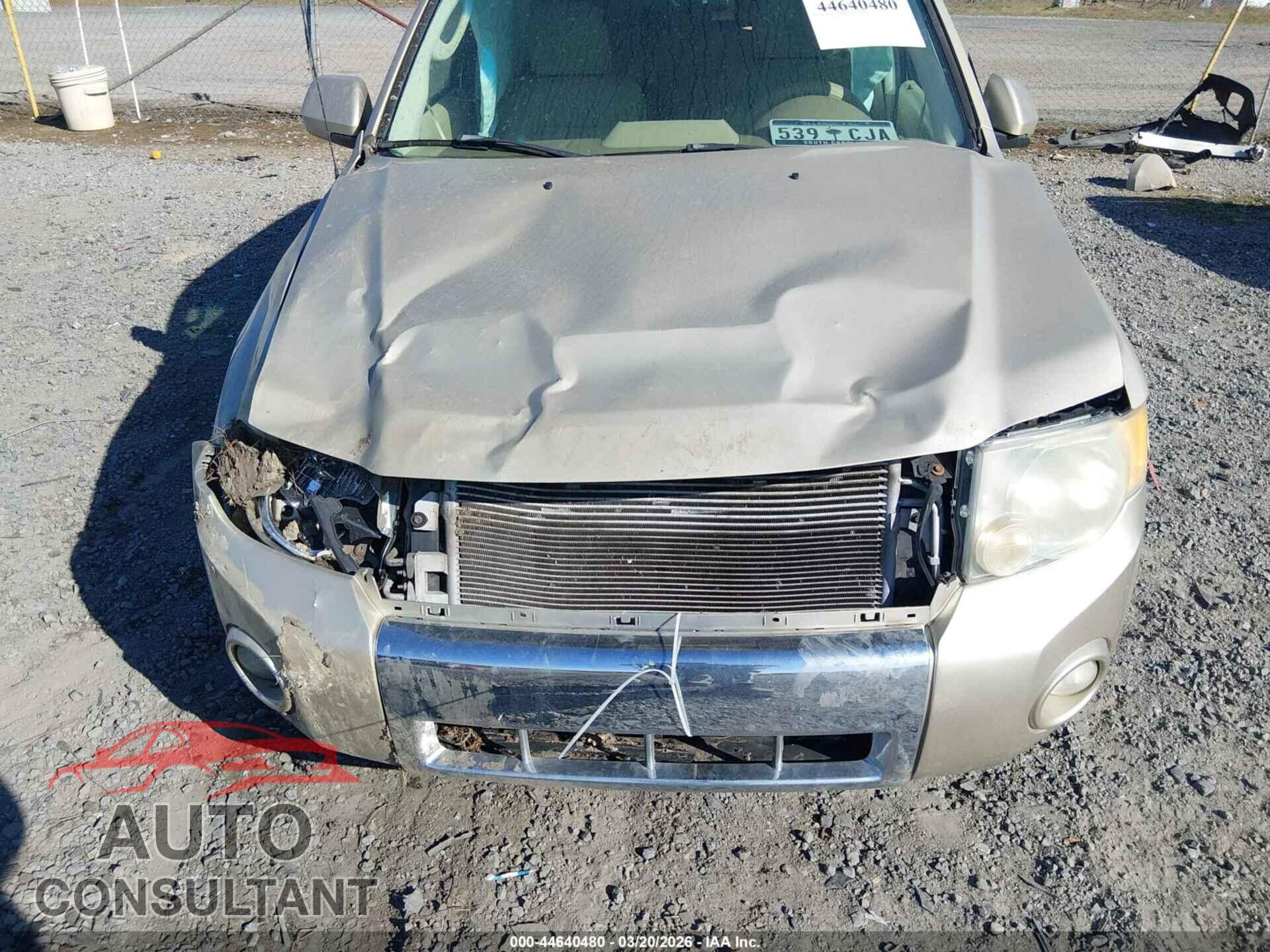 FORD ESCAPE 2011 - 1FMCU0EG7BKC05762