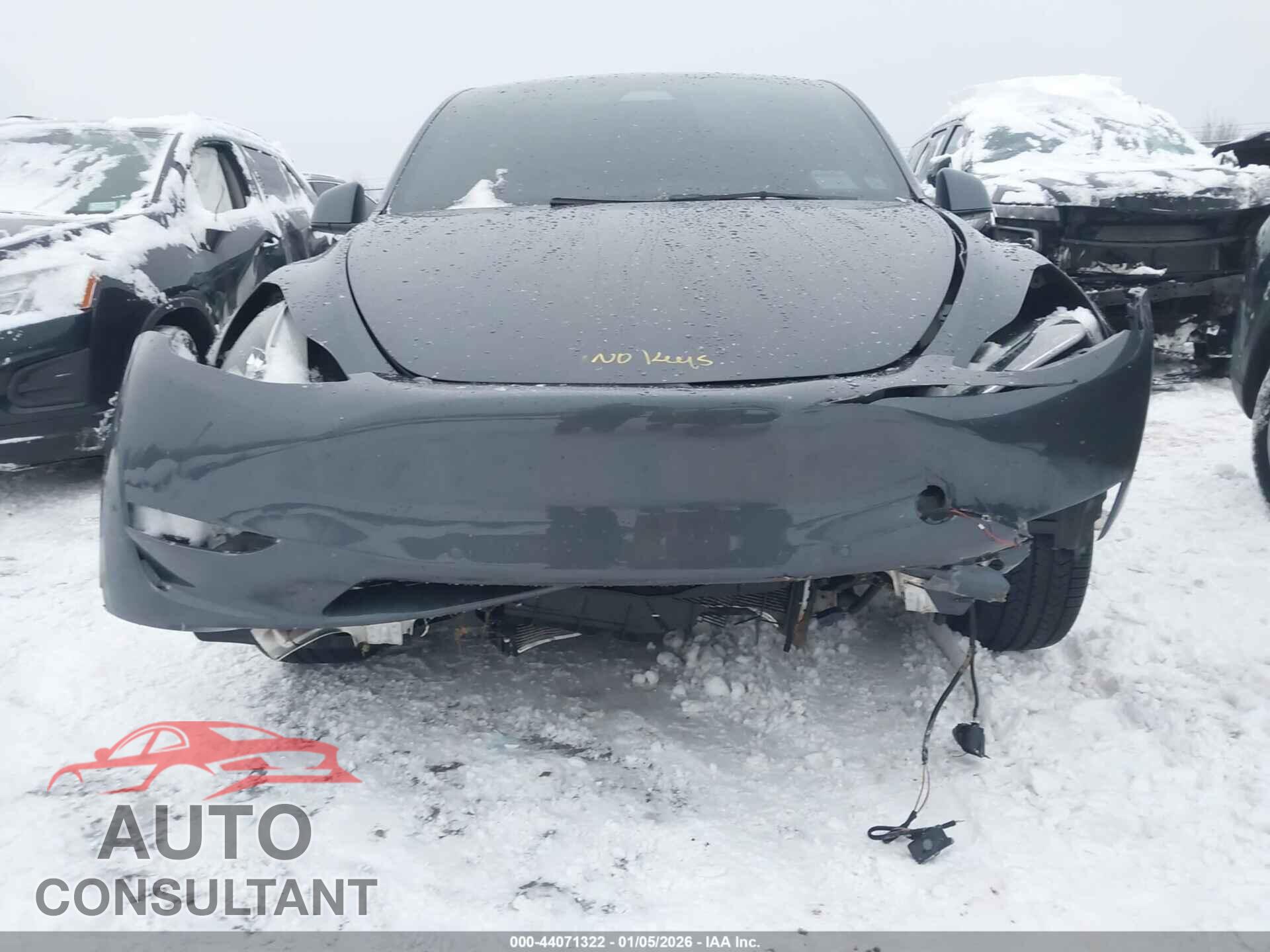 TESLA MODEL Y 2022 - 7SAYGDEE6NF450743