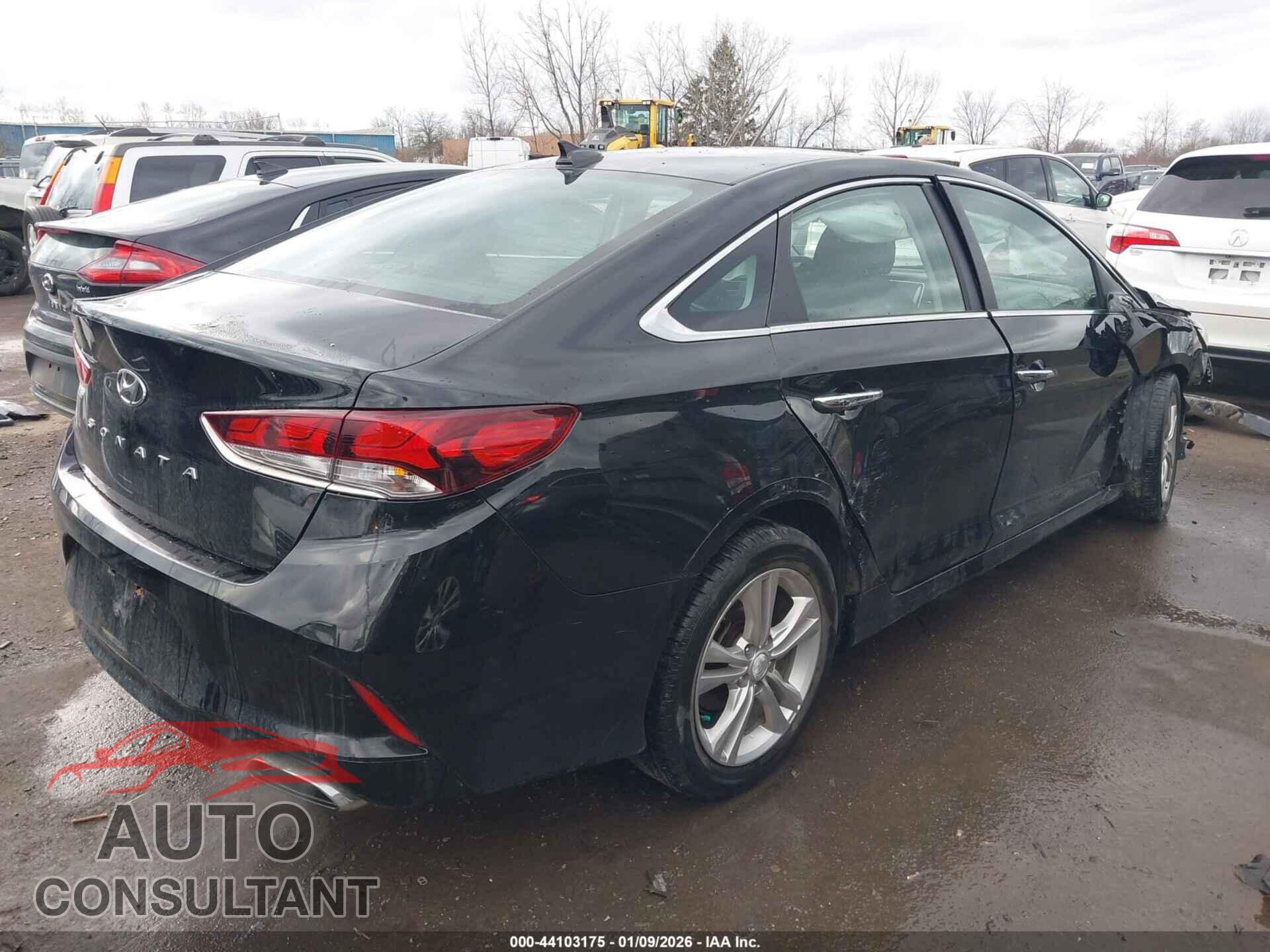 HYUNDAI SONATA 2019 - 5NPE34AF9KH733614