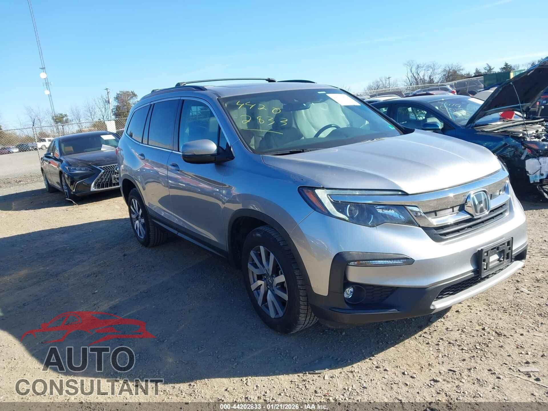 HONDA PILOT 2019 - 5FNYF6H54KB096854