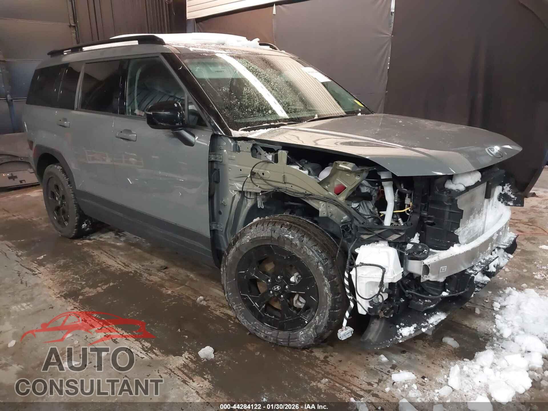 HYUNDAI SANTA FE 2025 - 5NMP3DGL4SH090429