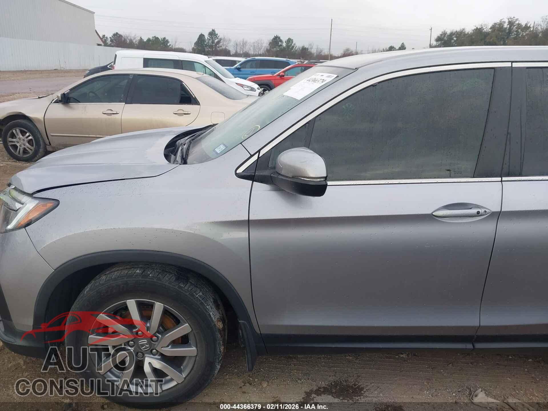 HONDA PILOT 2019 - 5FNYF5H50KB009137