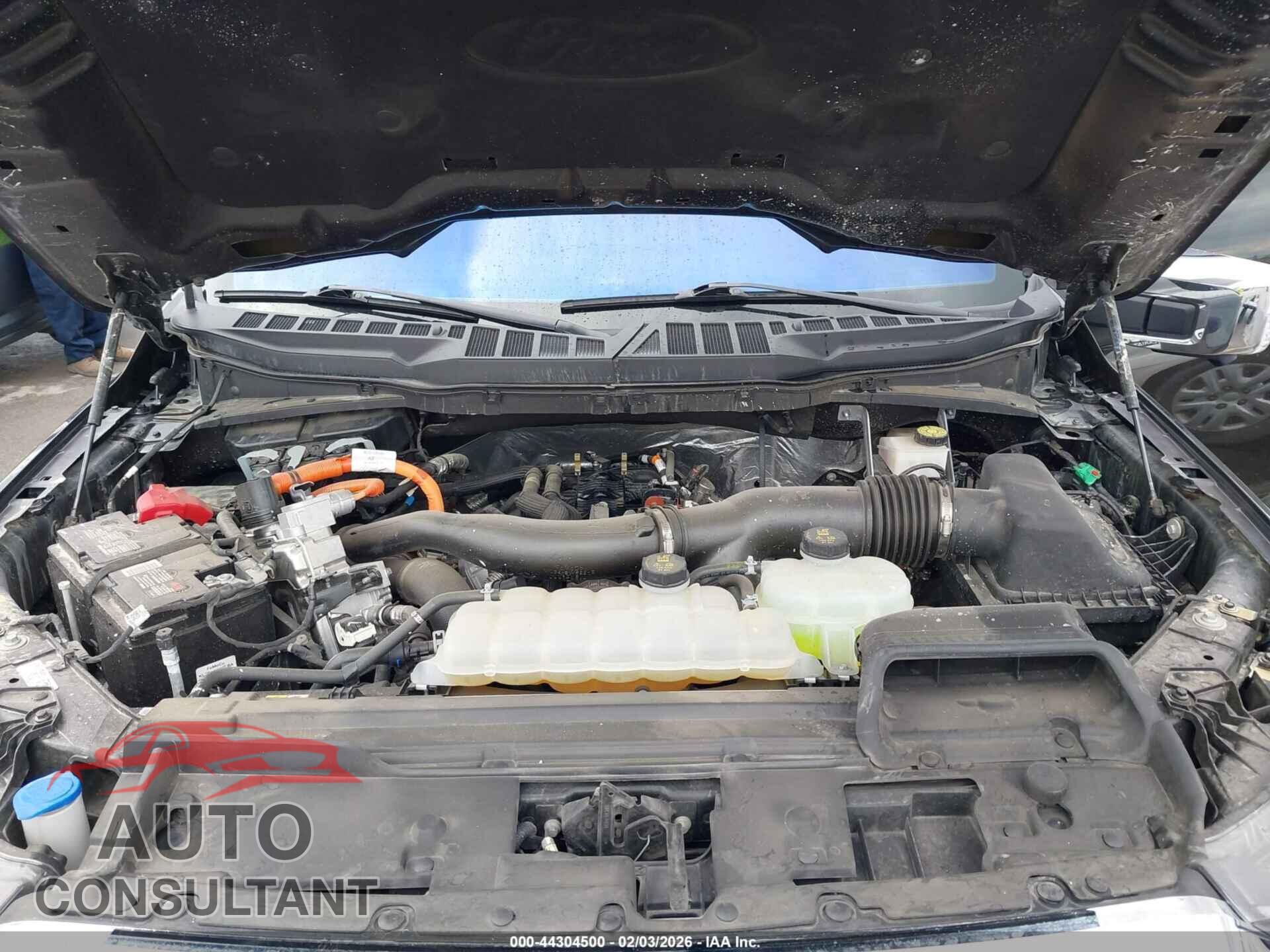 FORD F-150 2024 - 1FTFW5LD4RFB80324