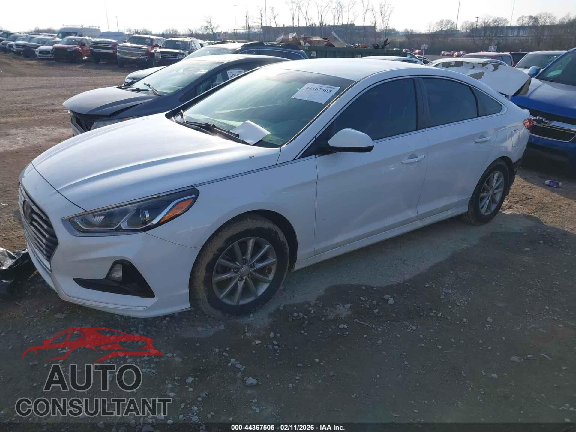 HYUNDAI SONATA 2019 - 5NPE24AF5KH772350
