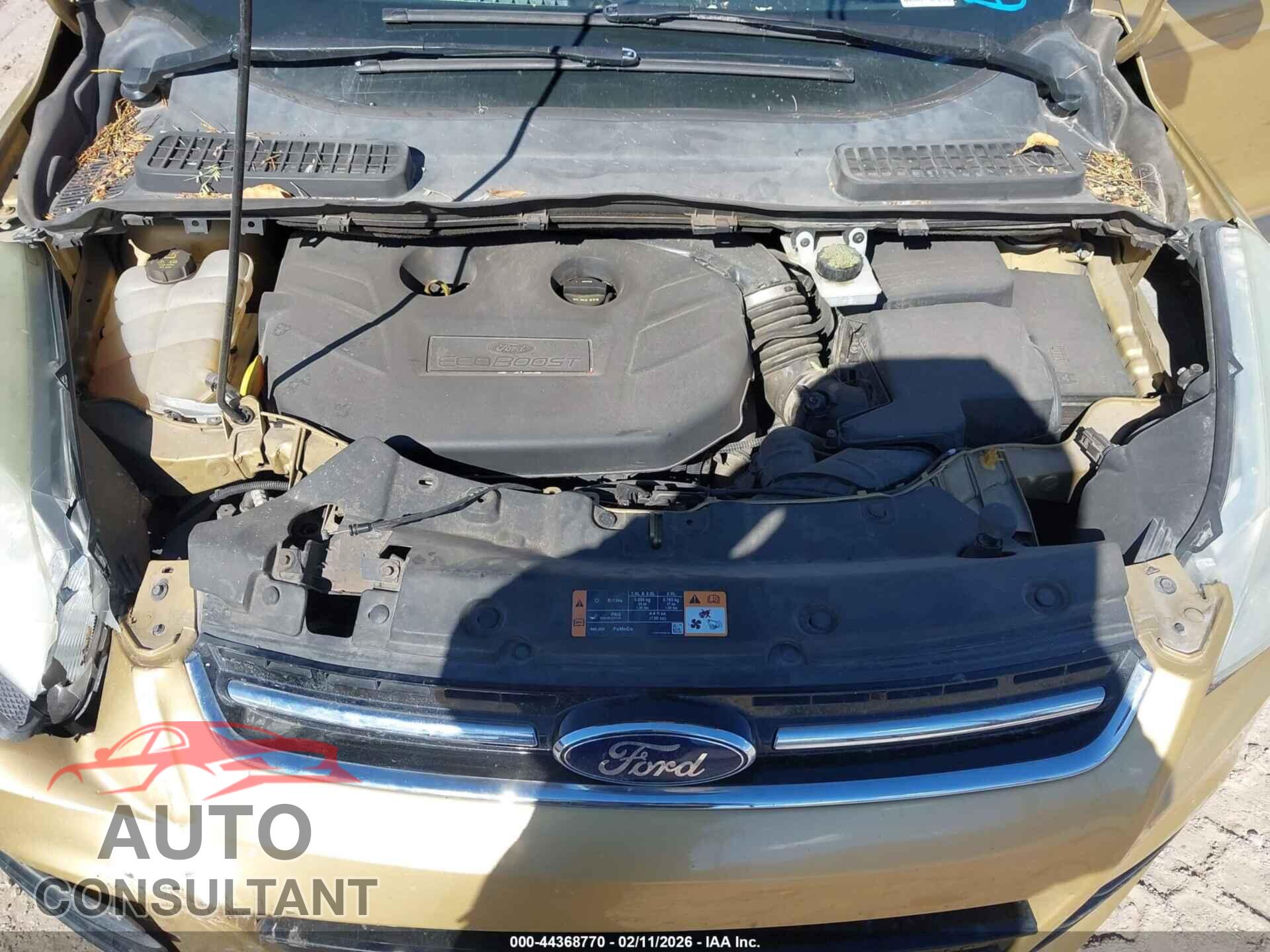 FORD ESCAPE 2014 - 1FMCU0J9XEUE22206