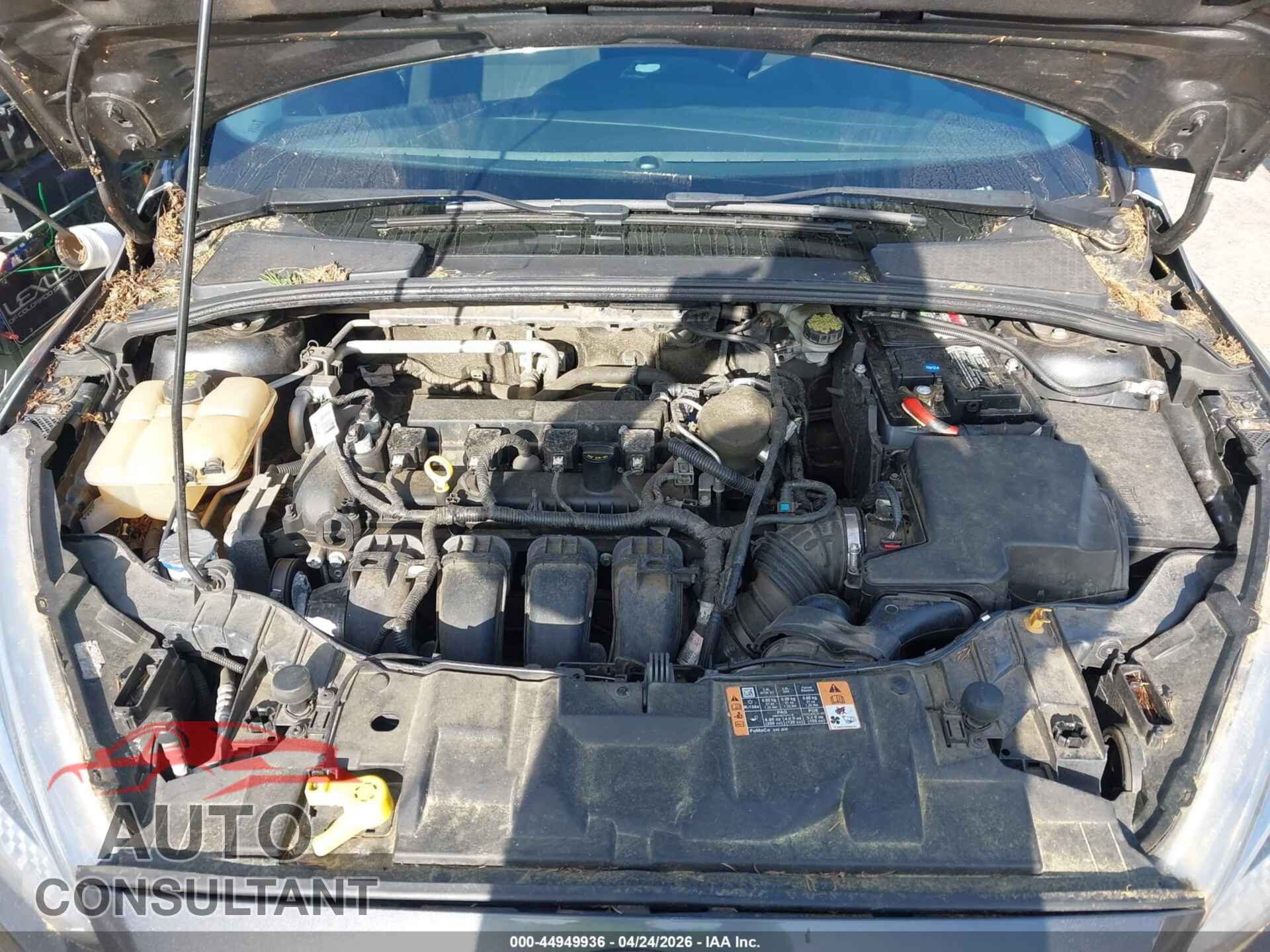FORD FOCUS 2016 - 1FADP3F26GL301958