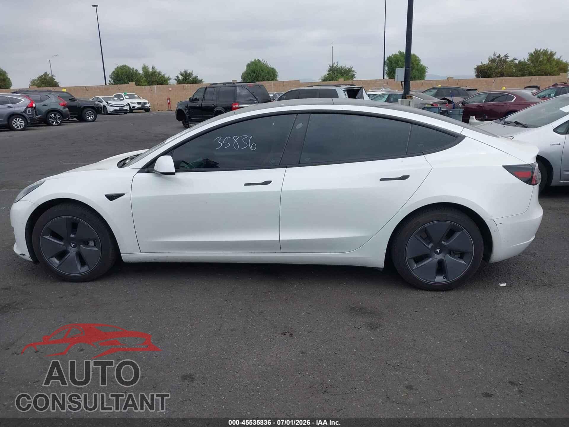 TESLA MODEL 3 2021 - 5YJ3E1EA7MF060015