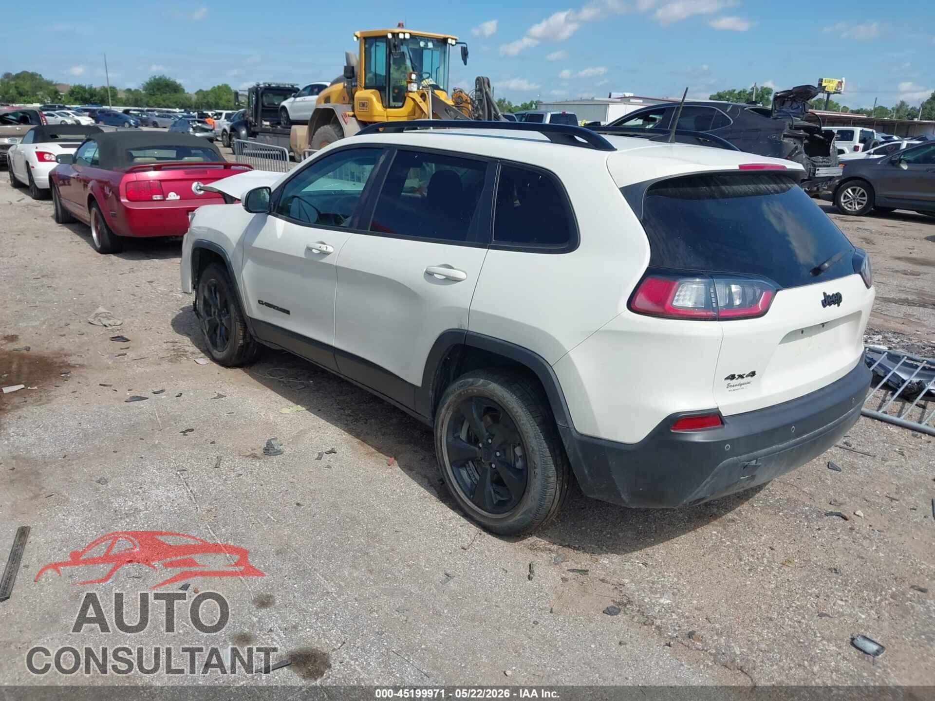 JEEP CHEROKEE 2019 - 1C4PJMLB9KD464996