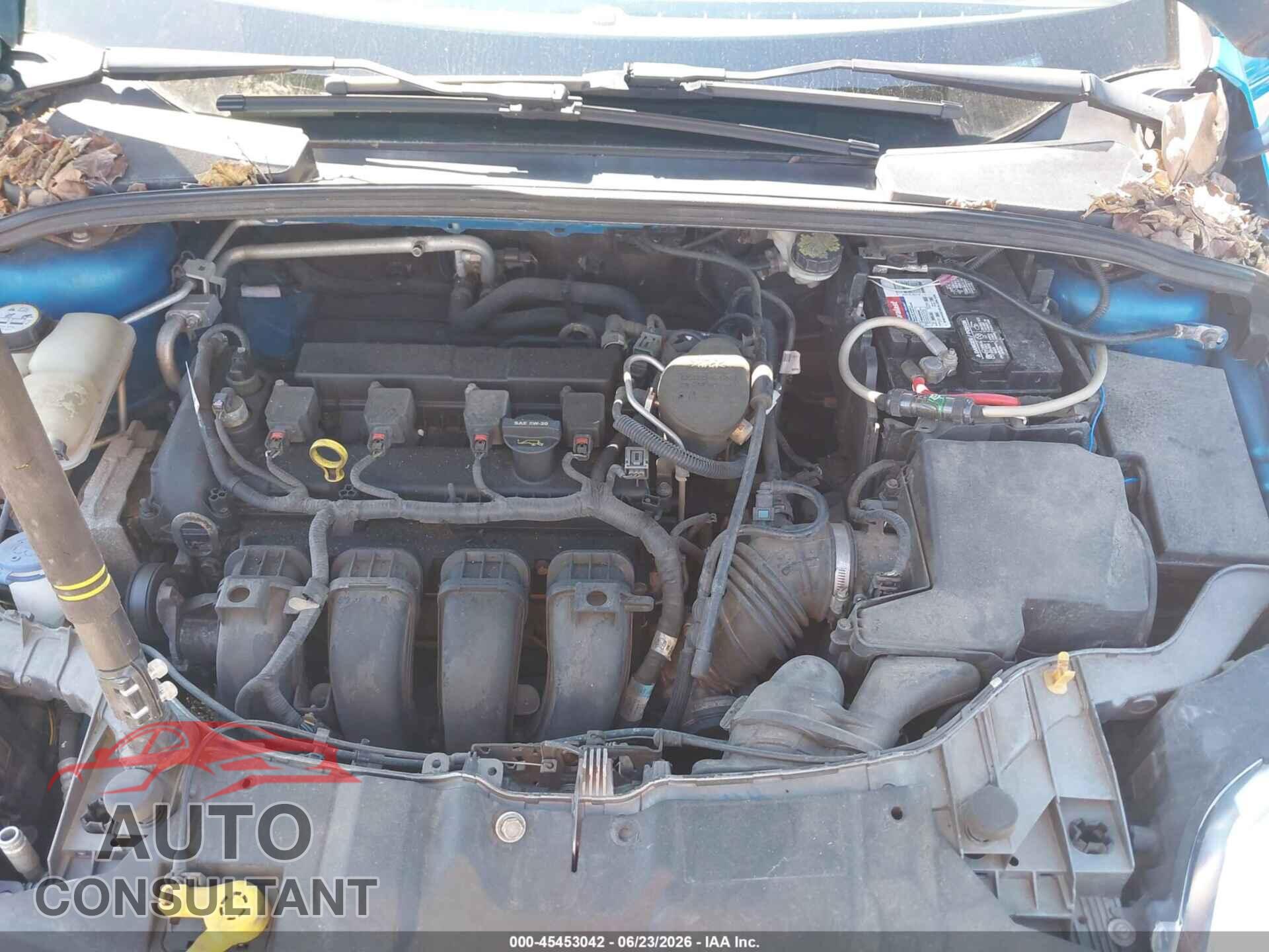 FORD FOCUS 2013 - 1FADP3K24DL261543