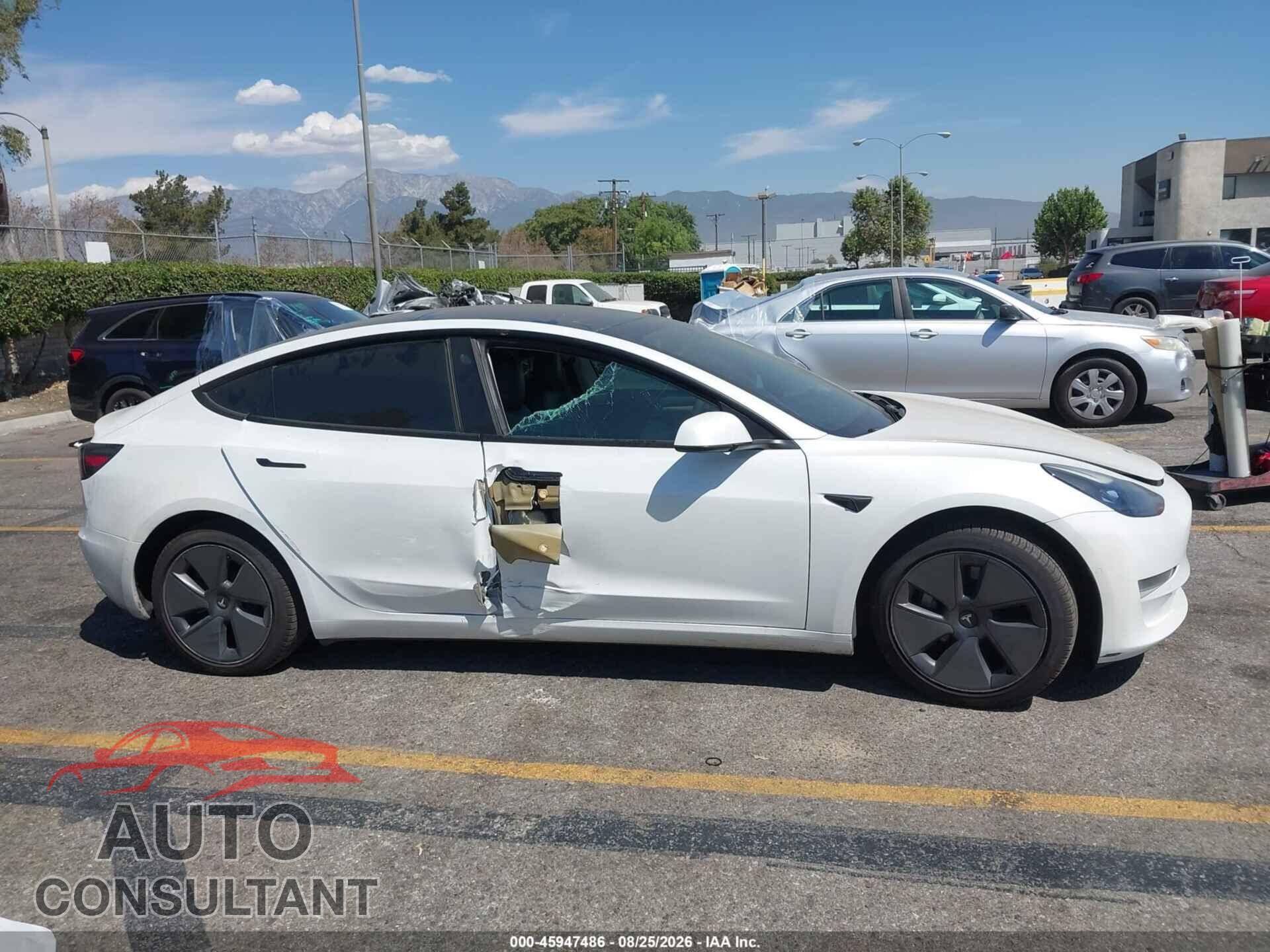 TESLA MODEL 3 2021 - 5YJ3E1EA7MF003524