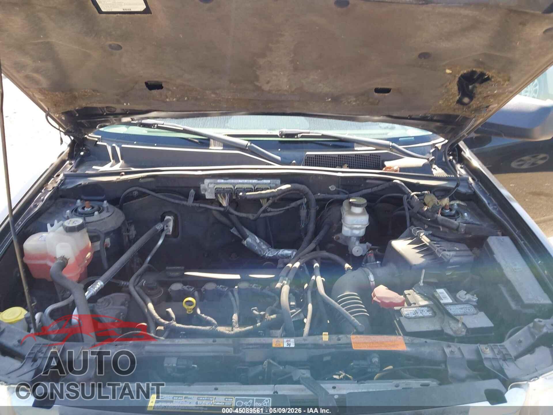 FORD ESCAPE 2011 - 1FMCU9C75BKC31400