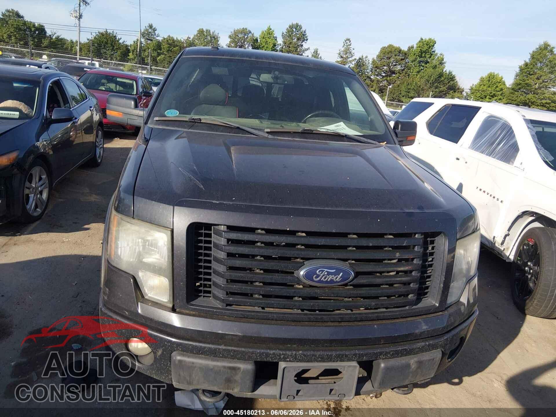 FORD F-150 2012 - 1FTFX1EF2CFC29399